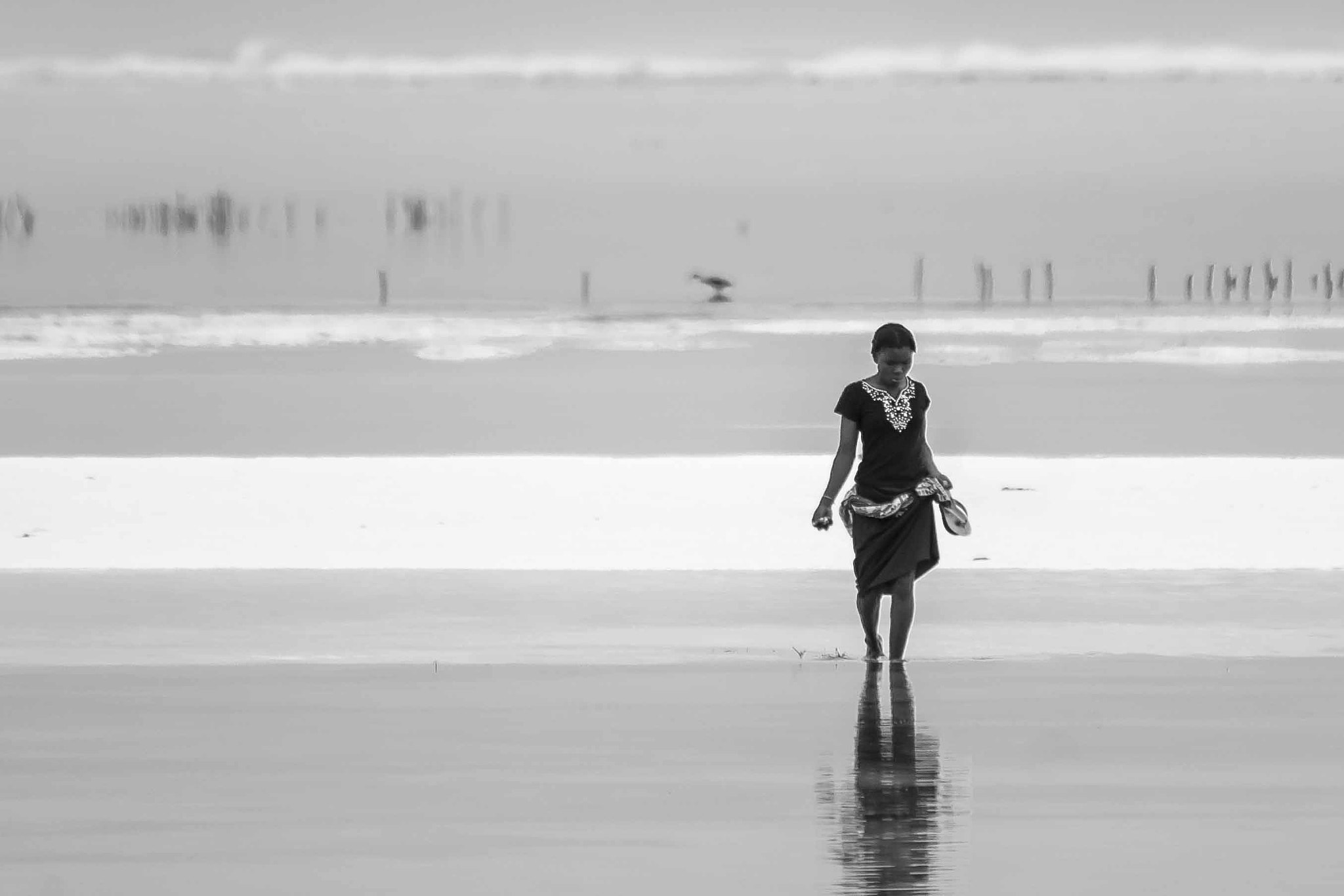 Sigma 150-500mm F5-6.3 DG OS HSM sample photo. Zanzisea photography