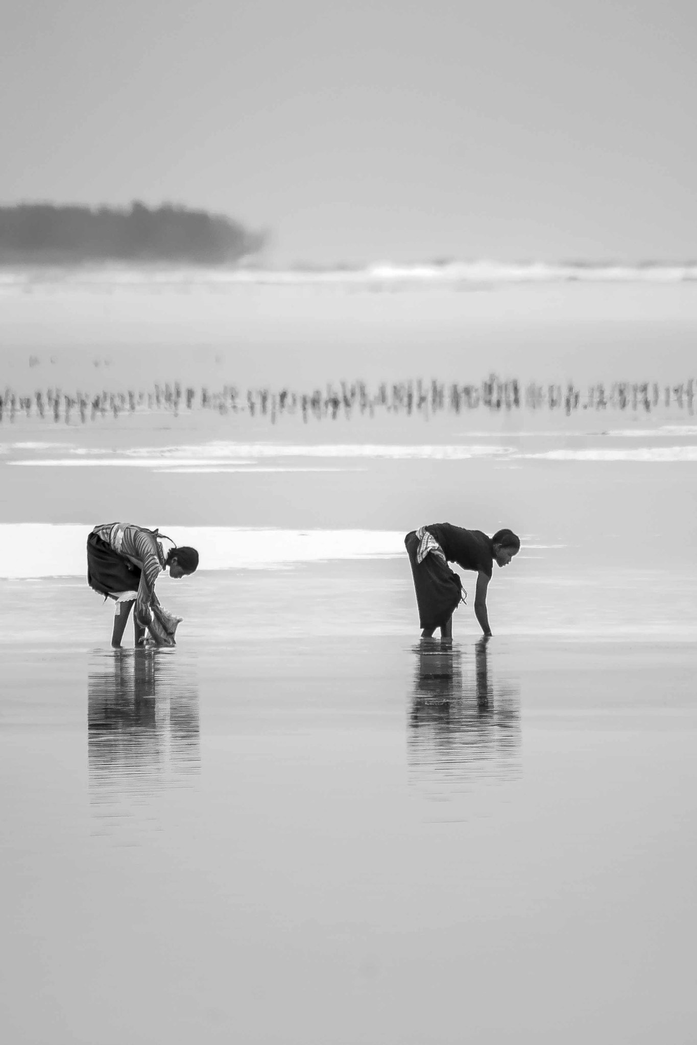 Sigma 150-500mm F5-6.3 DG OS HSM sample photo. Zanzisea photography