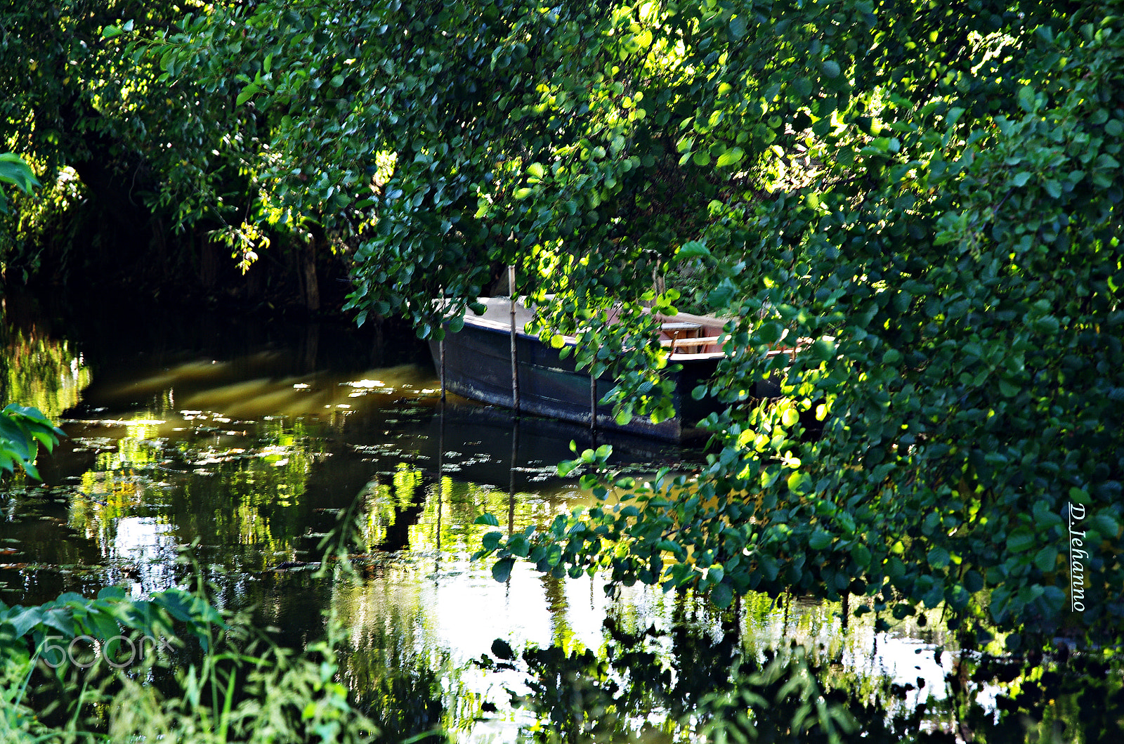 Pentax K-5 sample photo. The life can be soft...! photography
