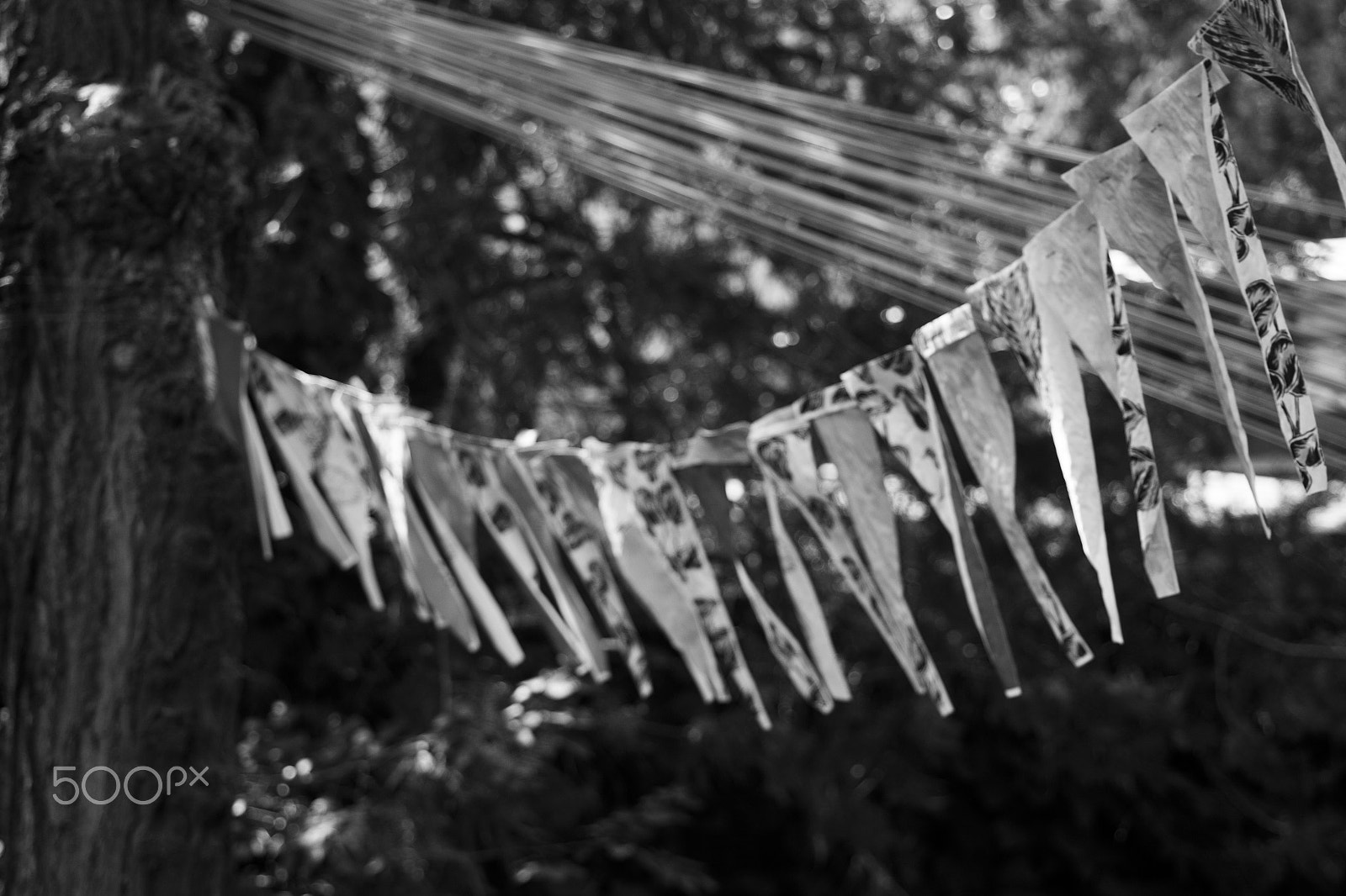 Canon EF 28-80mm f/3.5-5.6 sample photo. Wind photography