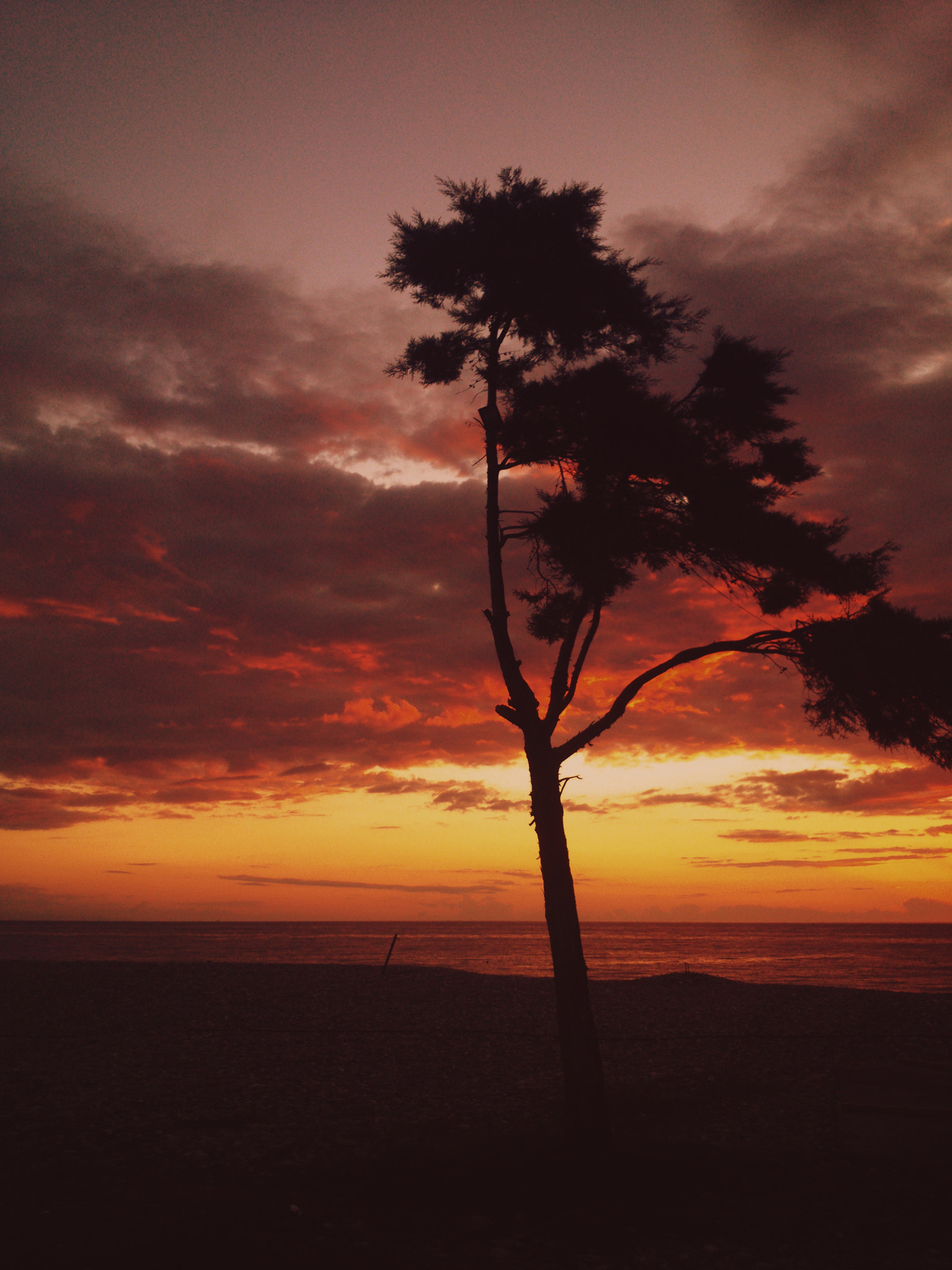Sony Xperia P sample photo. Beautiful sunset photography