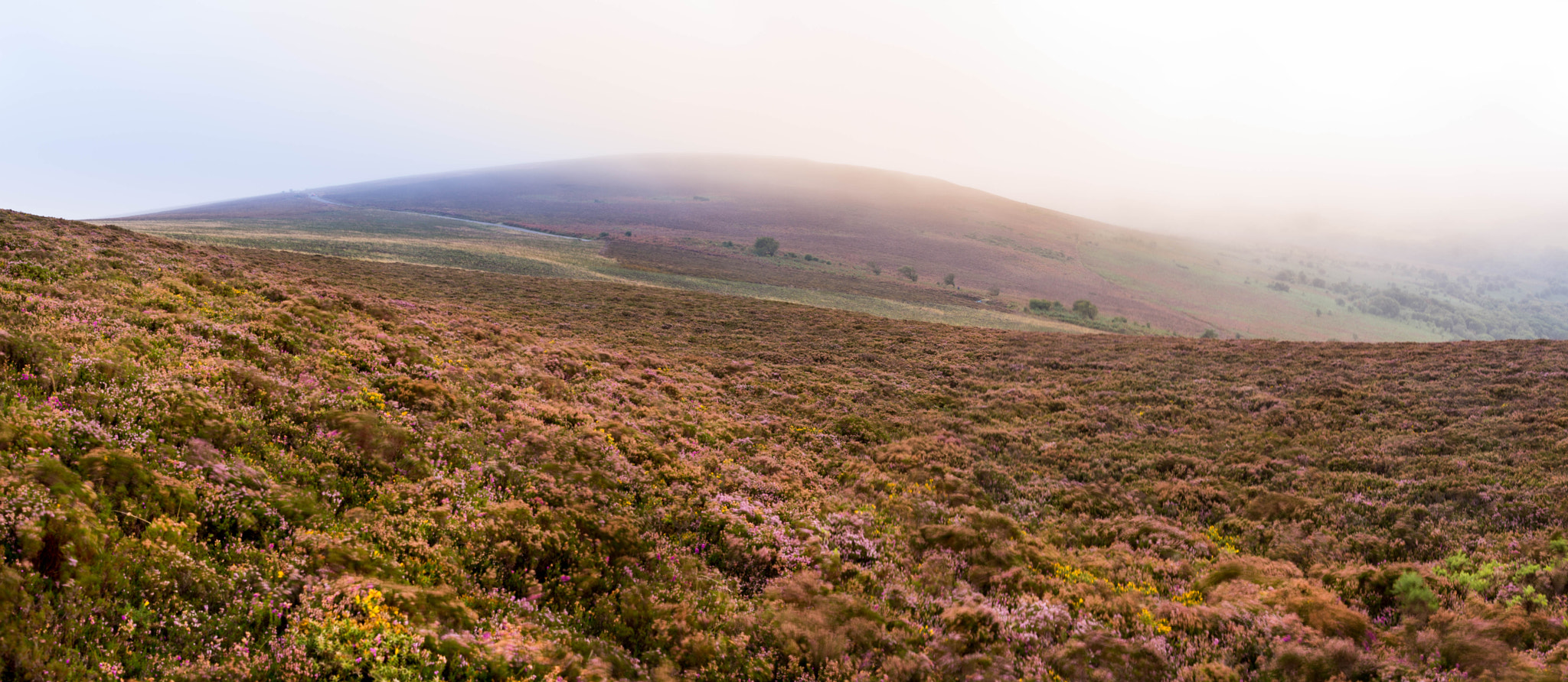 Nikon AF-S Nikkor 24-70mm F2.8E ED VR sample photo. Exmoor mist photography