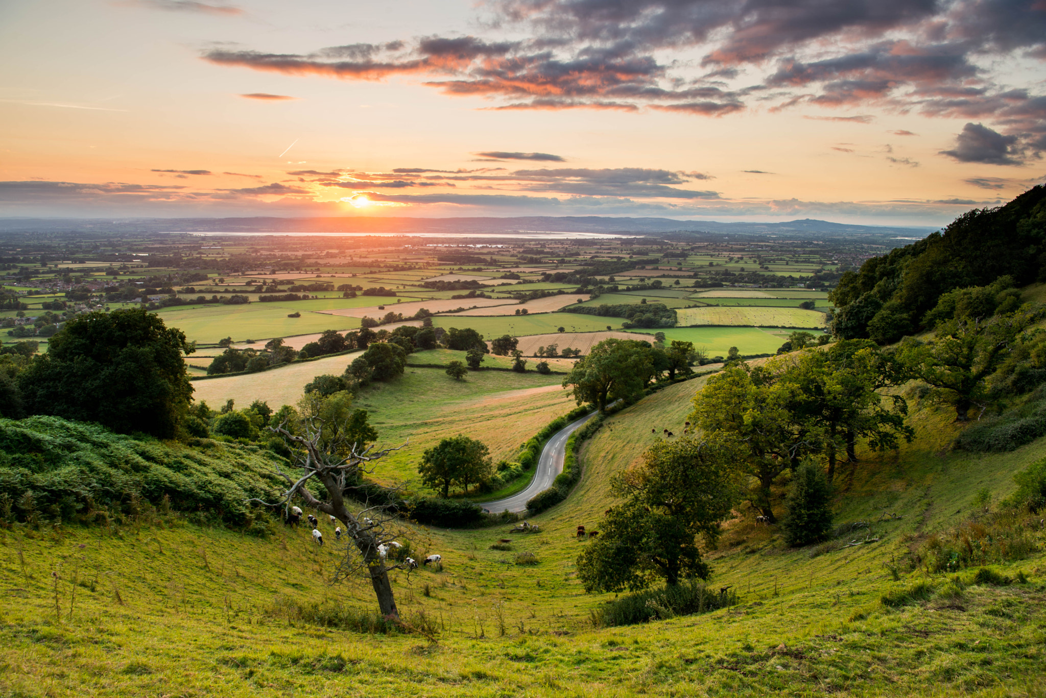Nikon AF-S Nikkor 24-70mm F2.8E ED VR sample photo. Coaly point sunset photography