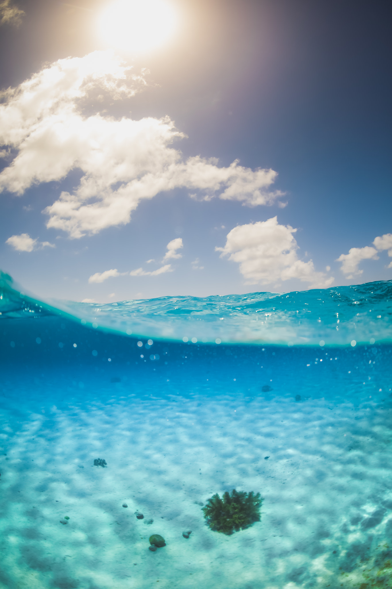 Canon EF 8-15mm F4L Fisheye USM sample photo. Bonaire atlantis beach photography