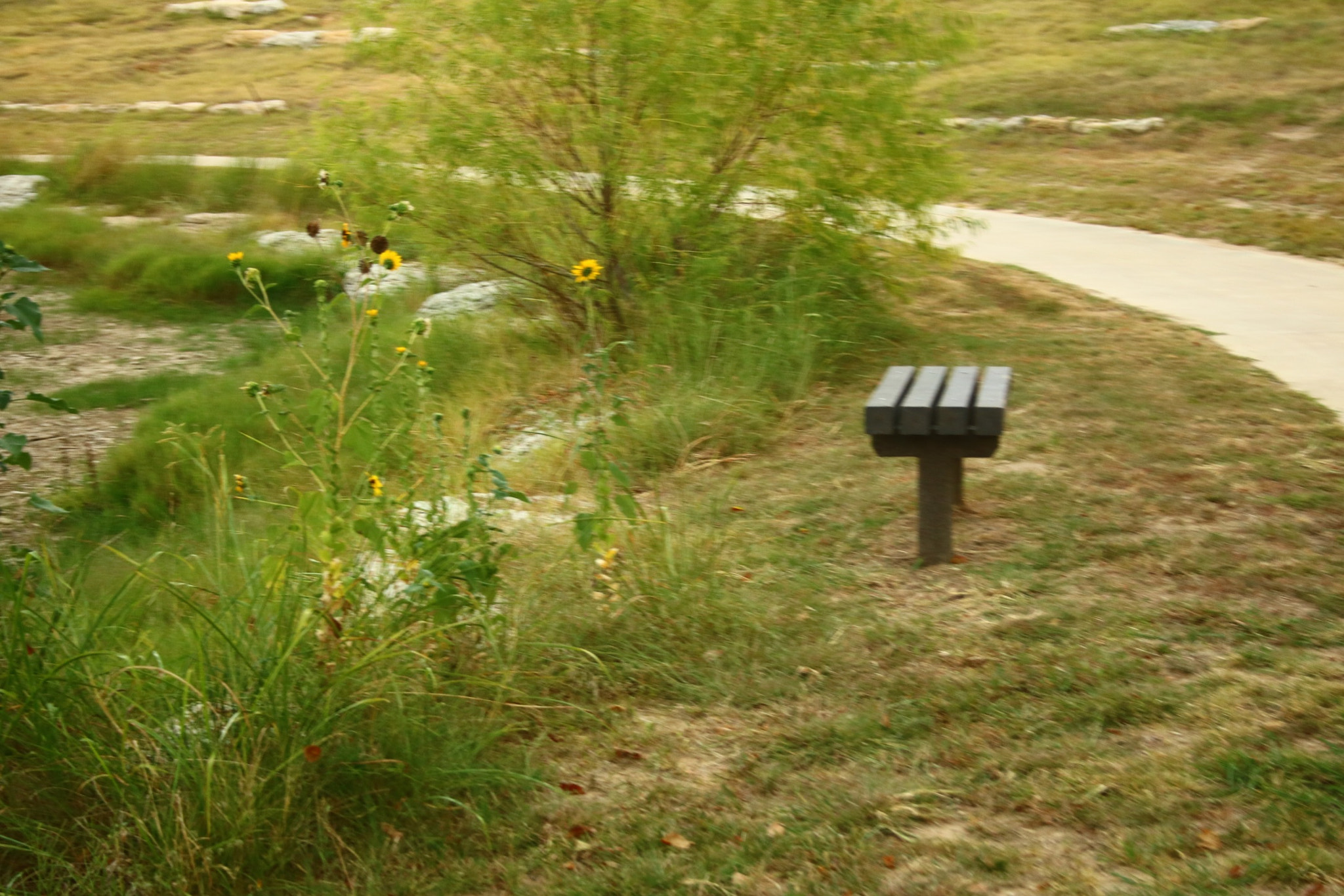 Canon EOS 760D (EOS Rebel T6s / EOS 8000D) sample photo