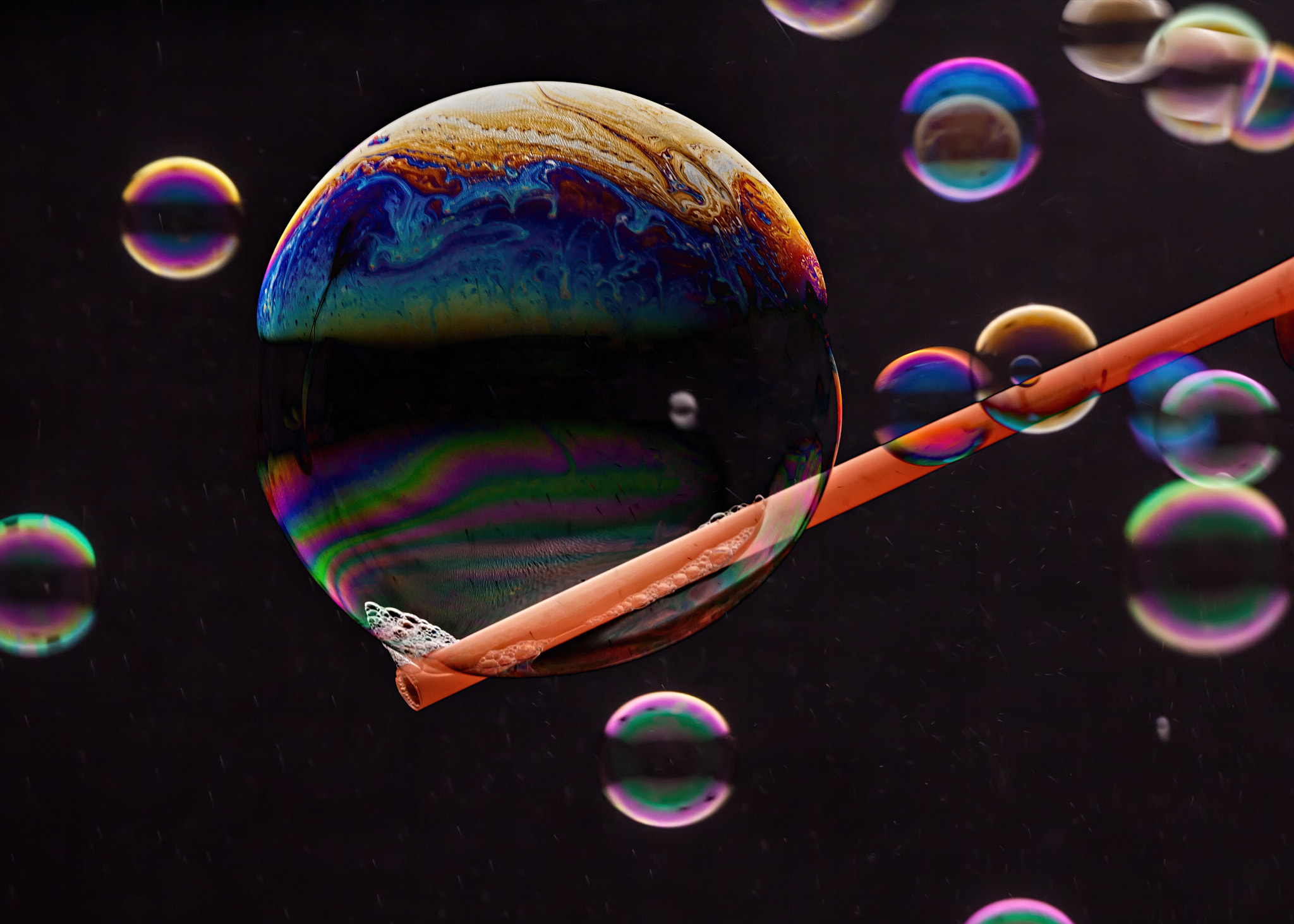 Canon EF 180mm F3.5L Macro USM sample photo. Fragile planet photography