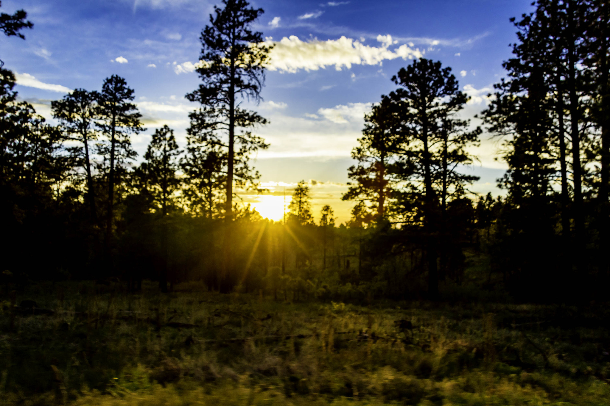 Canon EF-S 17-85mm F4-5.6 IS USM sample photo. Sunset near the north entrance of the grand canyon photography
