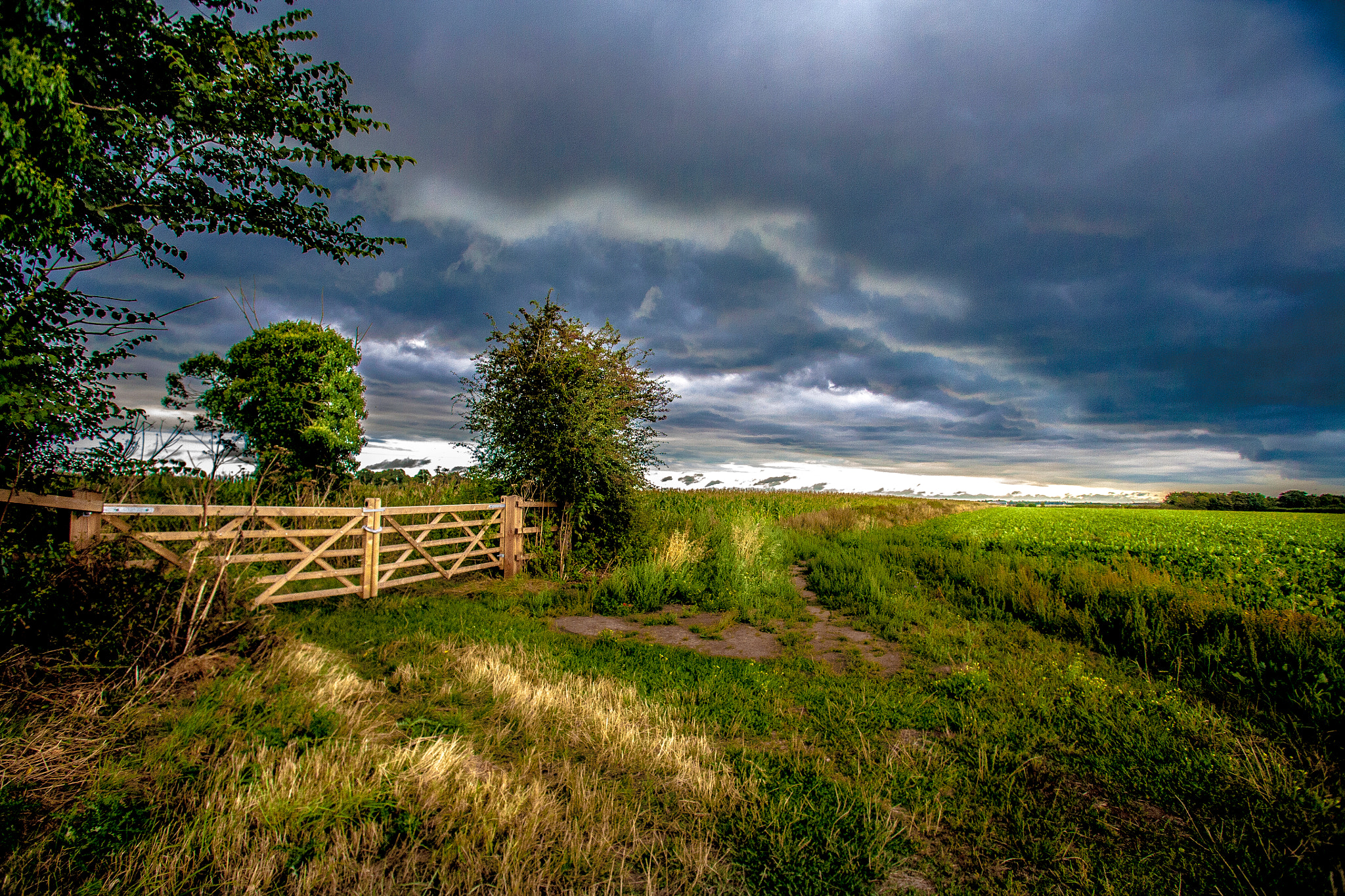 Canon EOS 5D + Canon EF 17-35mm f/2.8L sample photo. 29465300896.jpg photography
