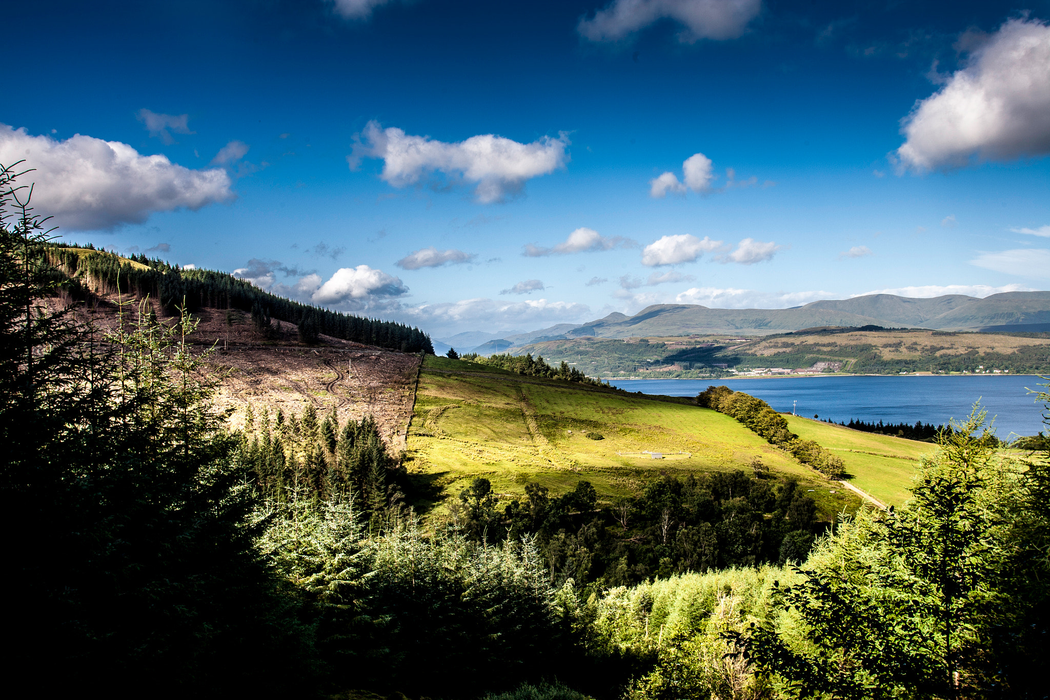 Canon EOS 5D + Canon EF 17-35mm f/2.8L sample photo. 28987506745.jpg photography