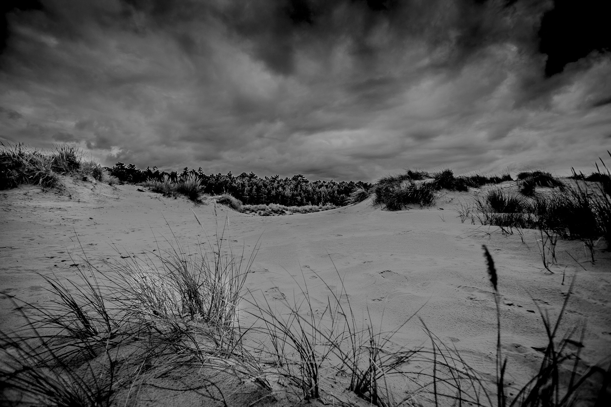 Canon EF 17-35mm f/2.8L sample photo. 27674656733.jpg photography