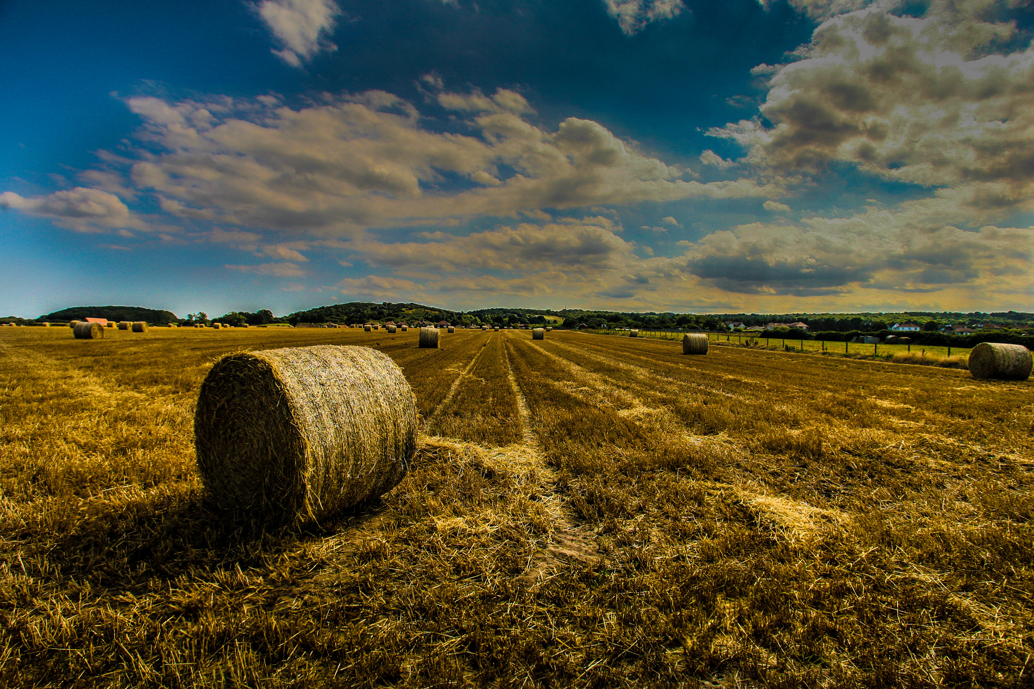 Canon EOS 5D + Canon EF 17-35mm f/2.8L sample photo. 20659286632.jpg photography