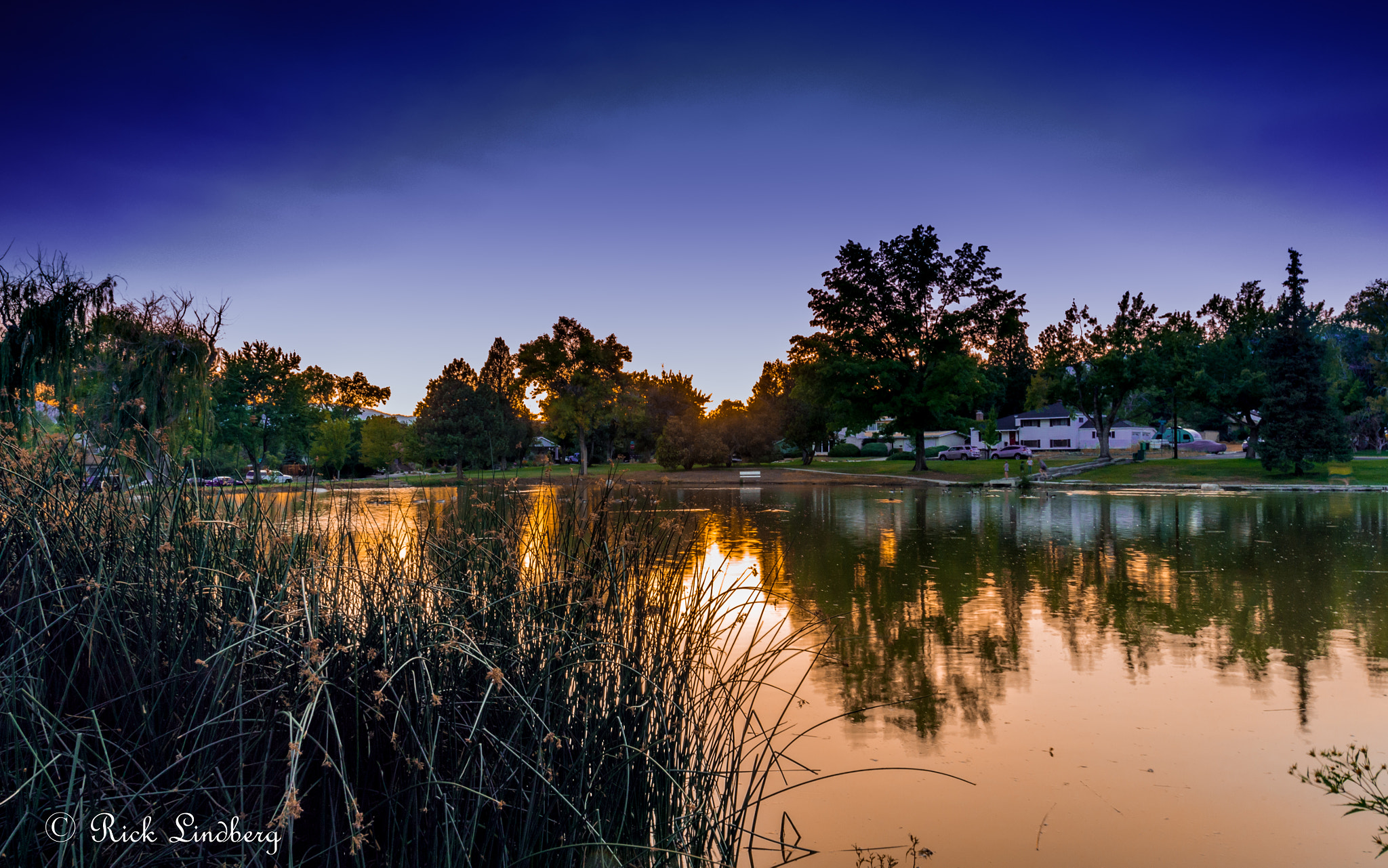 Pentax K-5 sample photo. Golden pond photography