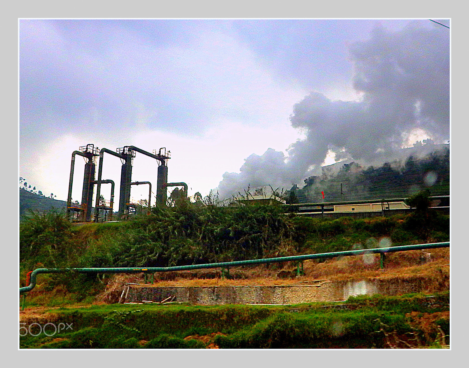 Ricoh WG-4 sample photo. Fogging photography