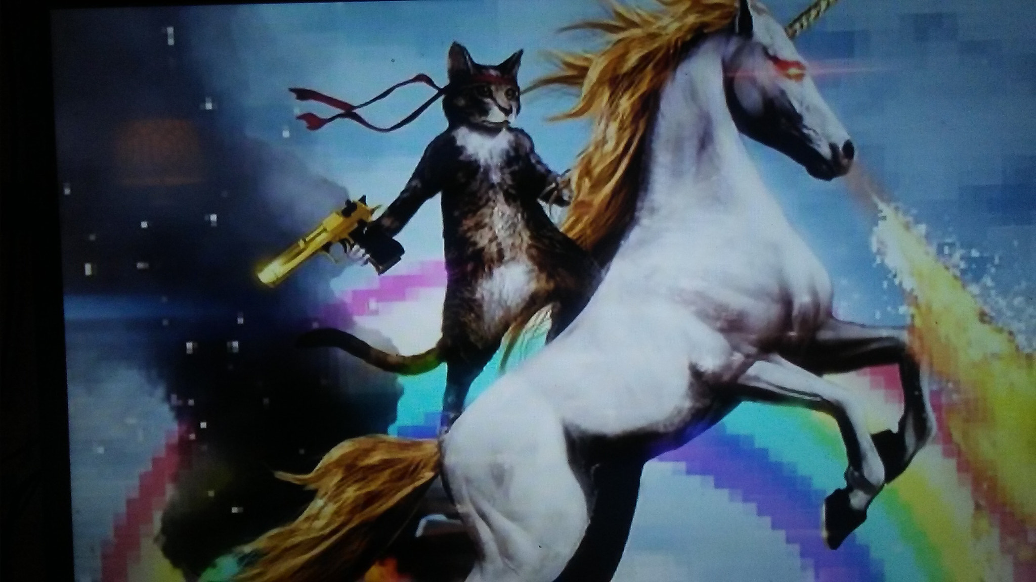 LG M1 sample photo. A cat riding a fire breathing unicorn photography