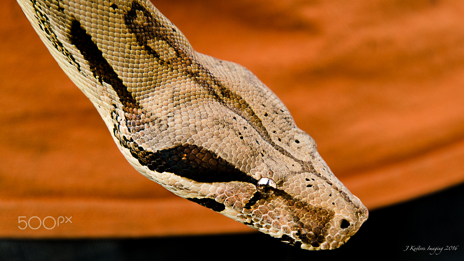 Nikon AF-S Nikkor 24-120mm F4G ED VR sample photo. Boa photography