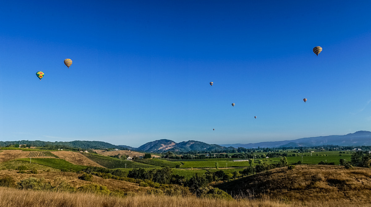 Sony a7R II + Sony FE 28-70mm F3.5-5.6 OSS sample photo. Any morning in the napa valley photography