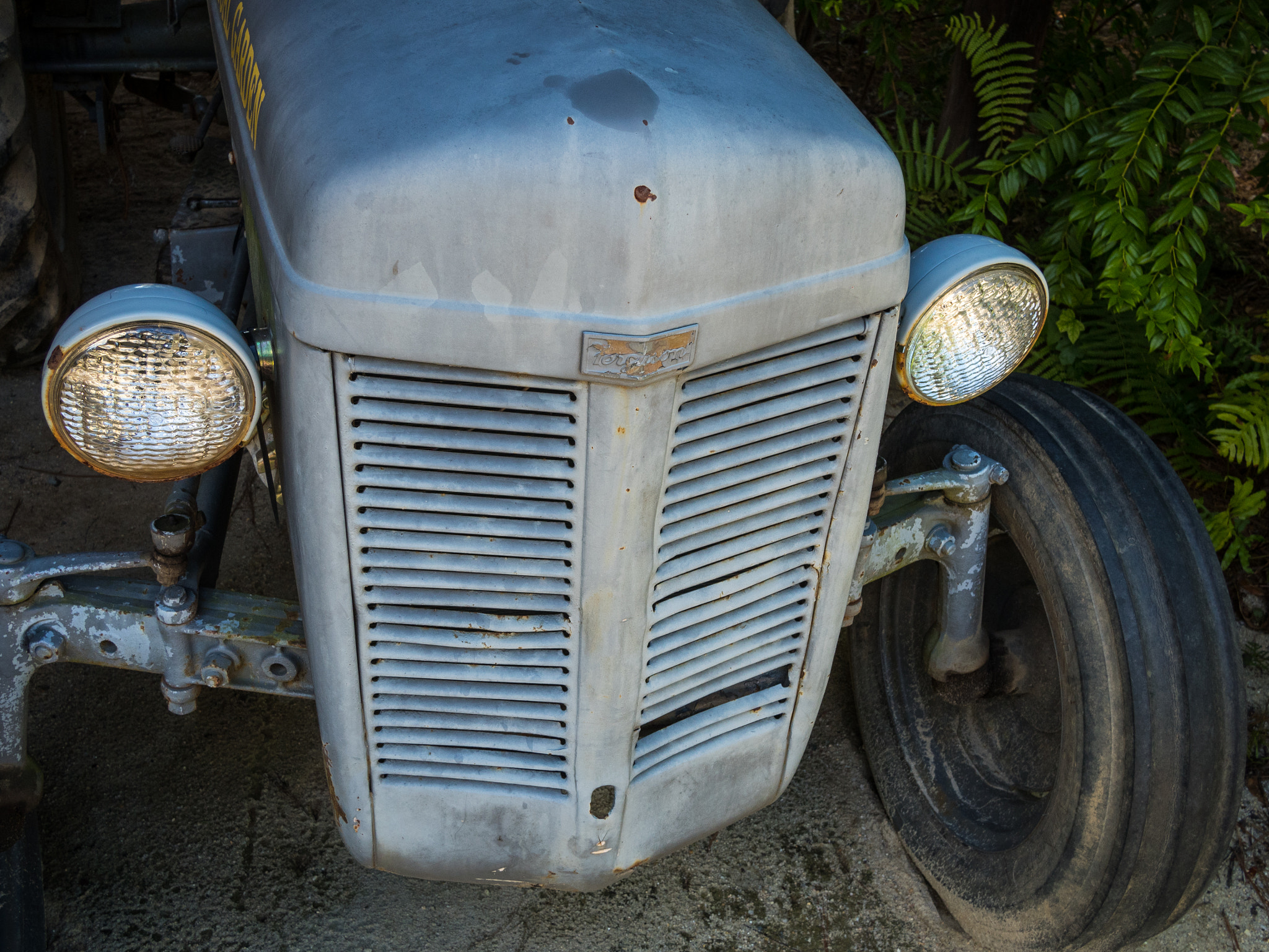 Olympus OM-D E-M5 II + LUMIX G 20/F1.7 II sample photo. Vintage farm tractor photography