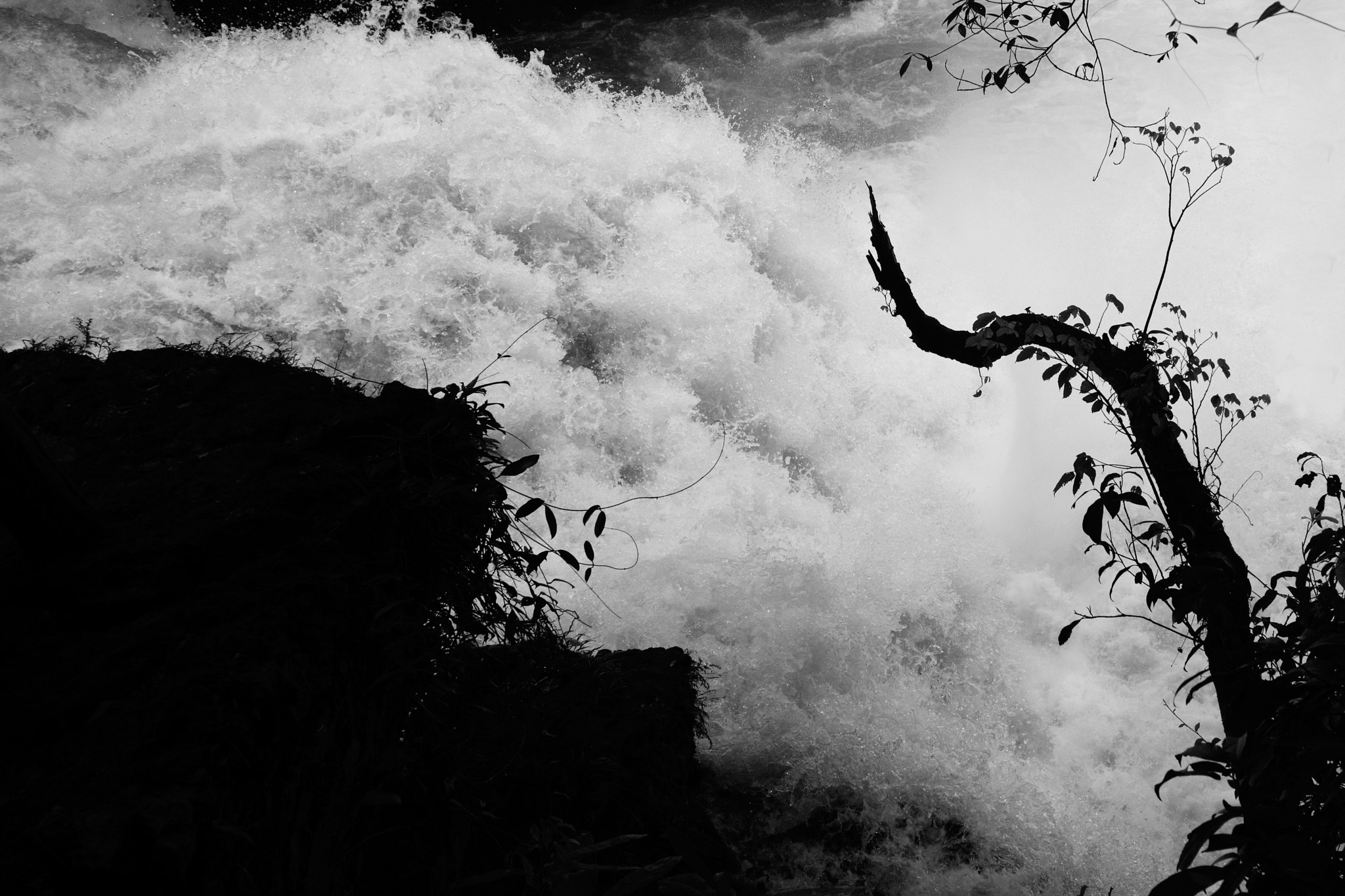 Nikon Df sample photo. Flood period photography
