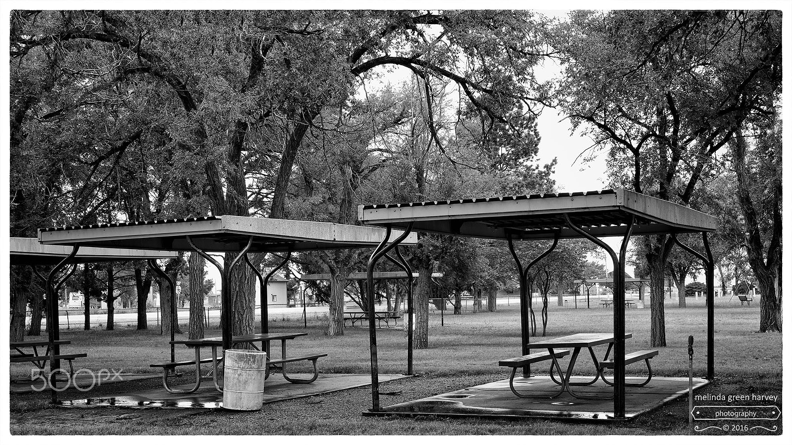 Leica Summarit-M 50mm F2.4 sample photo. Stranded without love photography