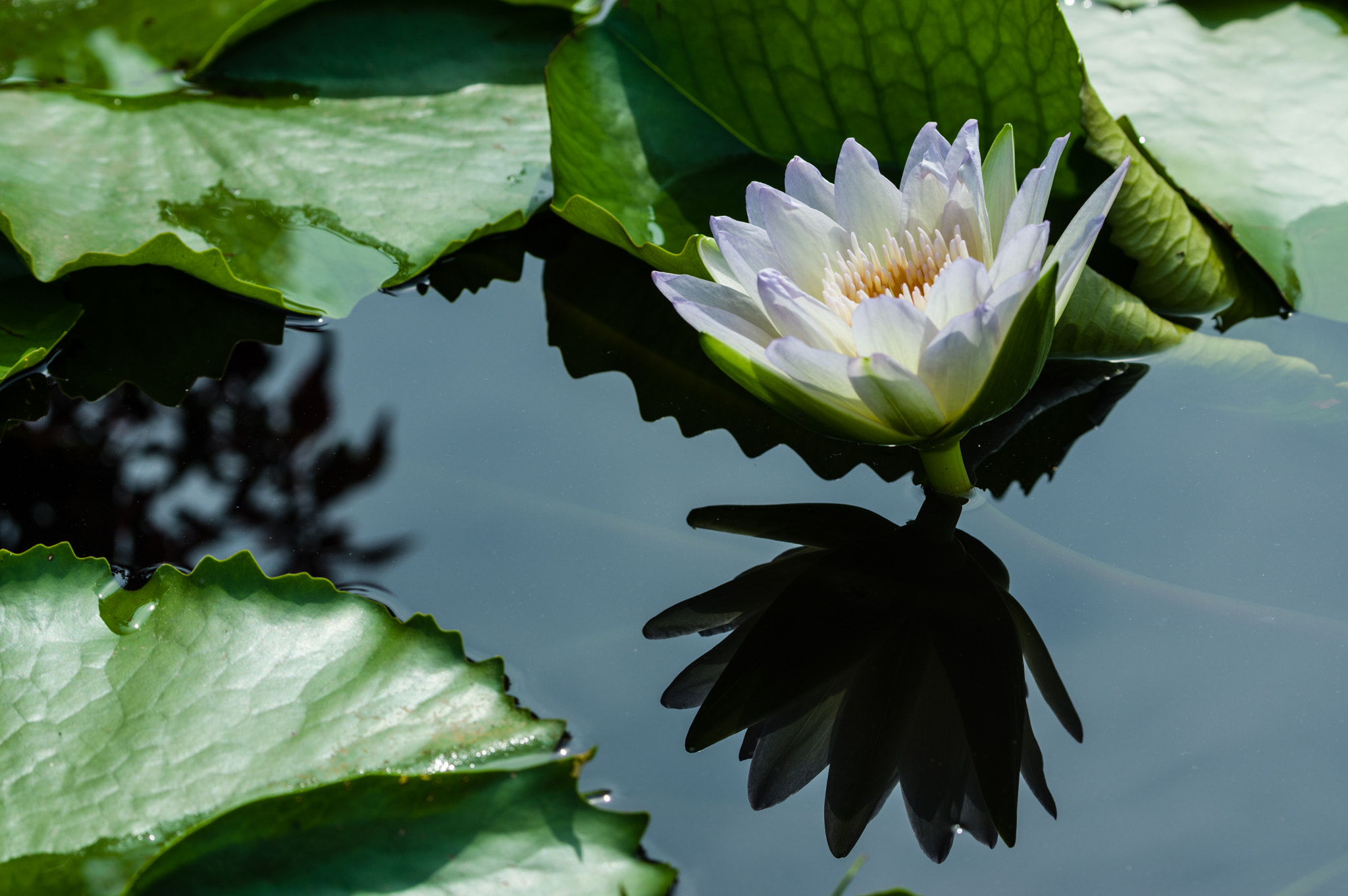 Pentax D FA* 70-200mm F2.8ED DC AW sample photo. ** photography