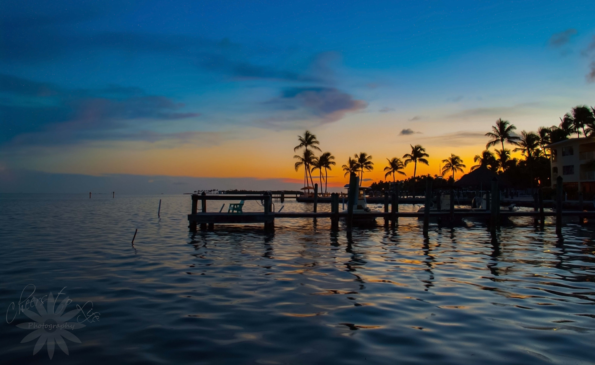 Canon EOS 500D (EOS Rebel T1i / EOS Kiss X3) sample photo. Last night in paradise photography