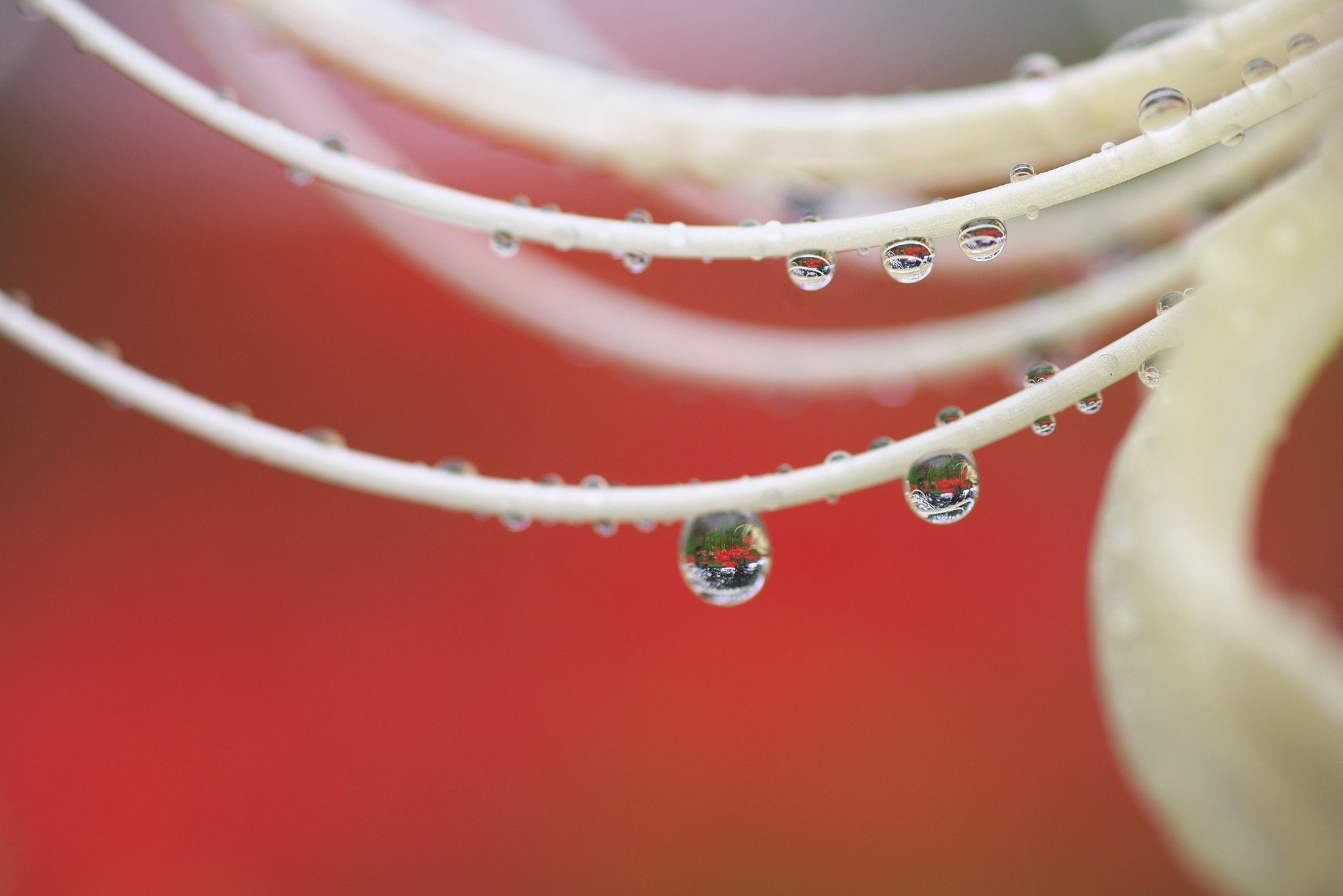 90mm F/2.8 D sample photo. Dsc photography