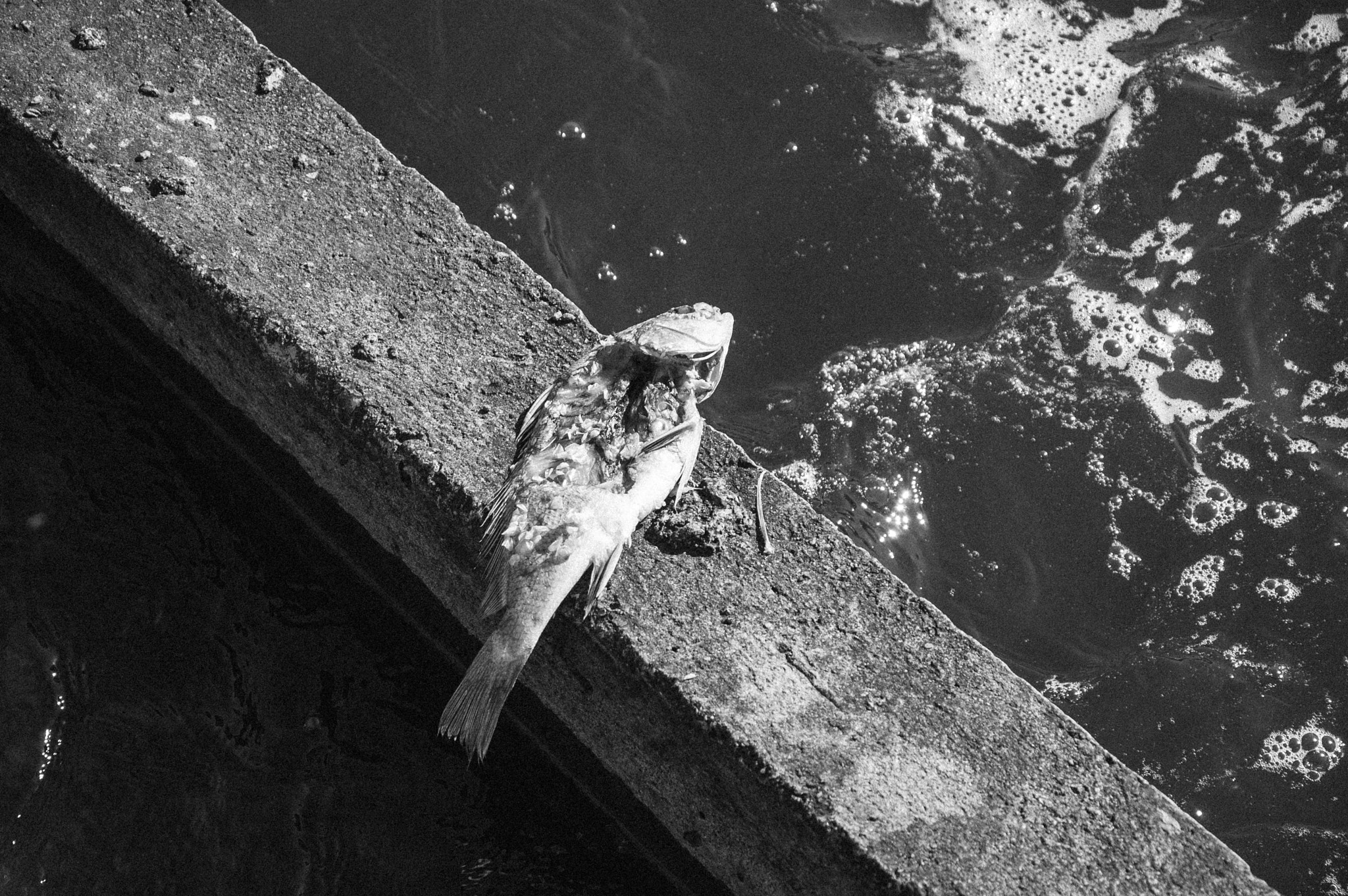 Nikon D70 sample photo. Street photography photography