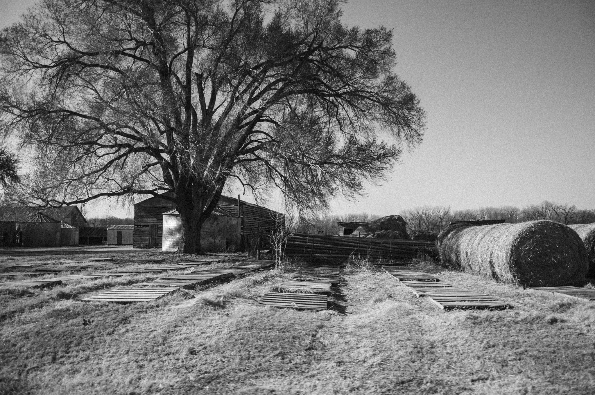 Nikon D70 sample photo. Street photography photography