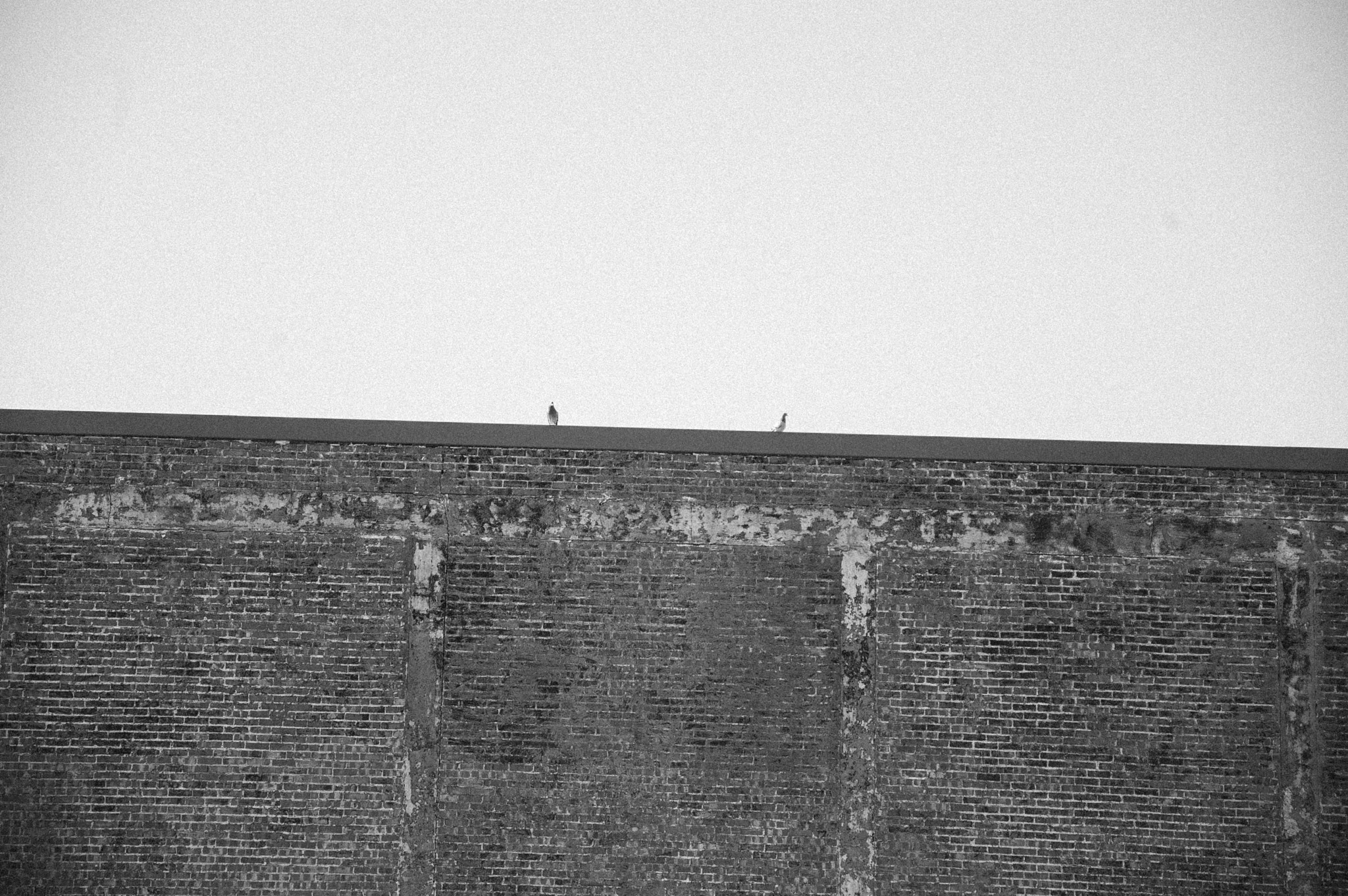 Nikon D70 sample photo. Street photography photography