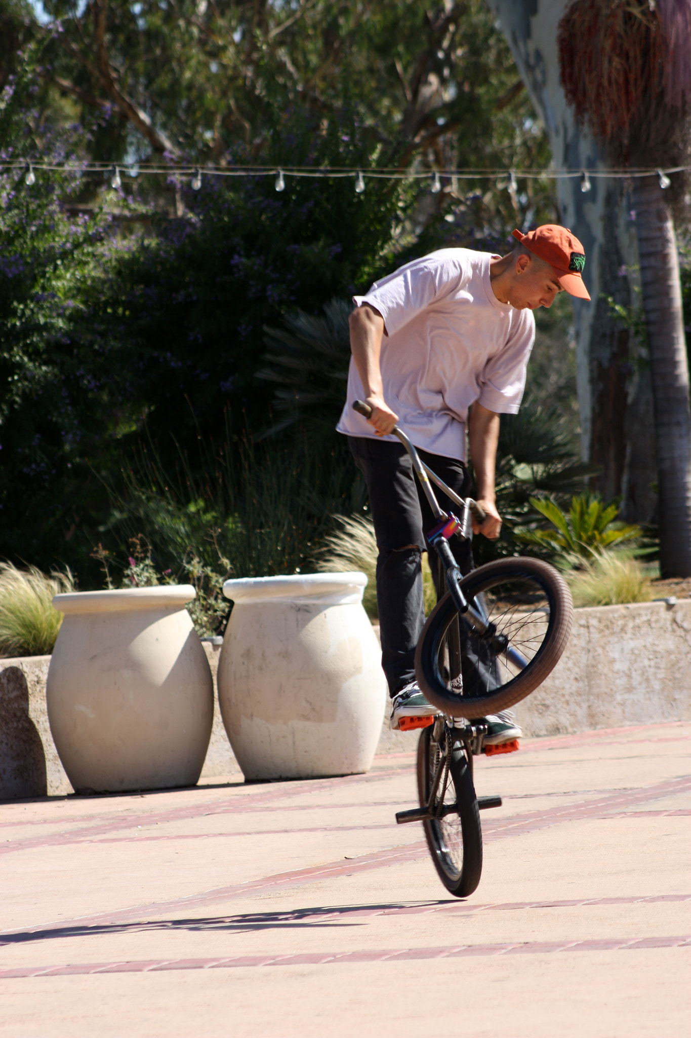 Canon EOS 450D (EOS Rebel XSi / EOS Kiss X2) sample photo. Bike rider photography