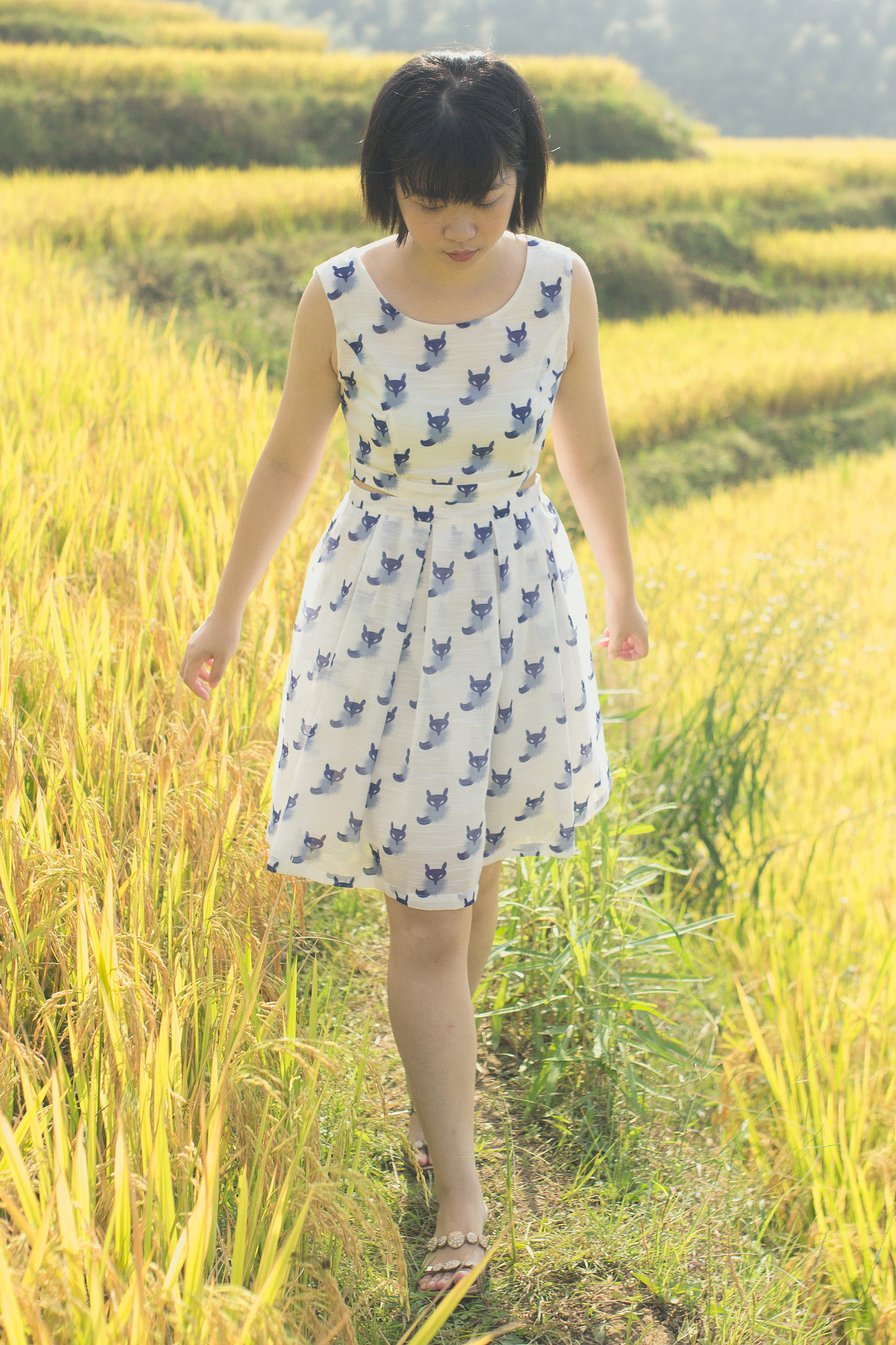 Canon EOS 600D (Rebel EOS T3i / EOS Kiss X5) + Sigma 35mm F1.4 DG HSM Art sample photo. . photography