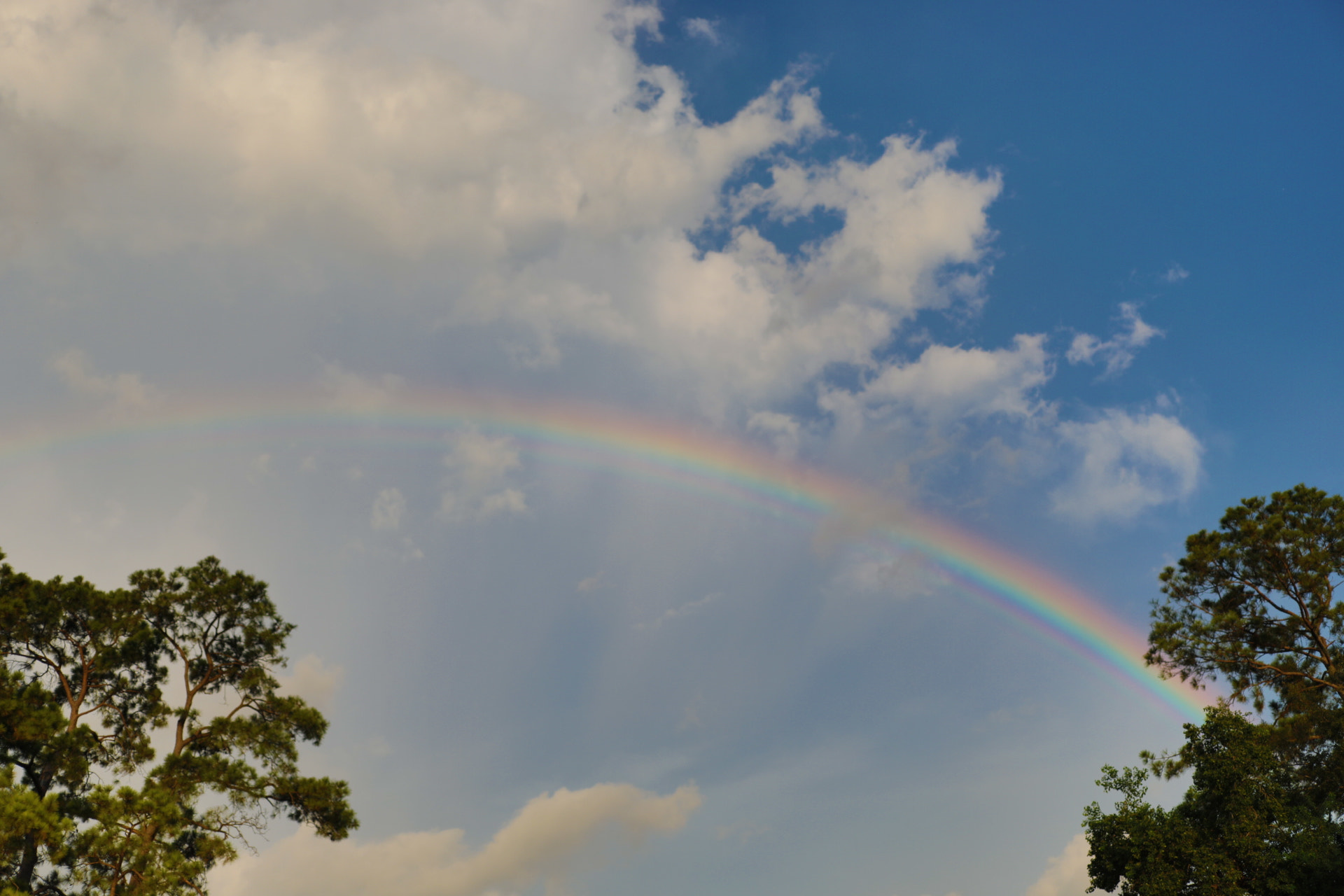Canon EF 40mm F2.8 STM sample photo. Rainbow lucky. photography