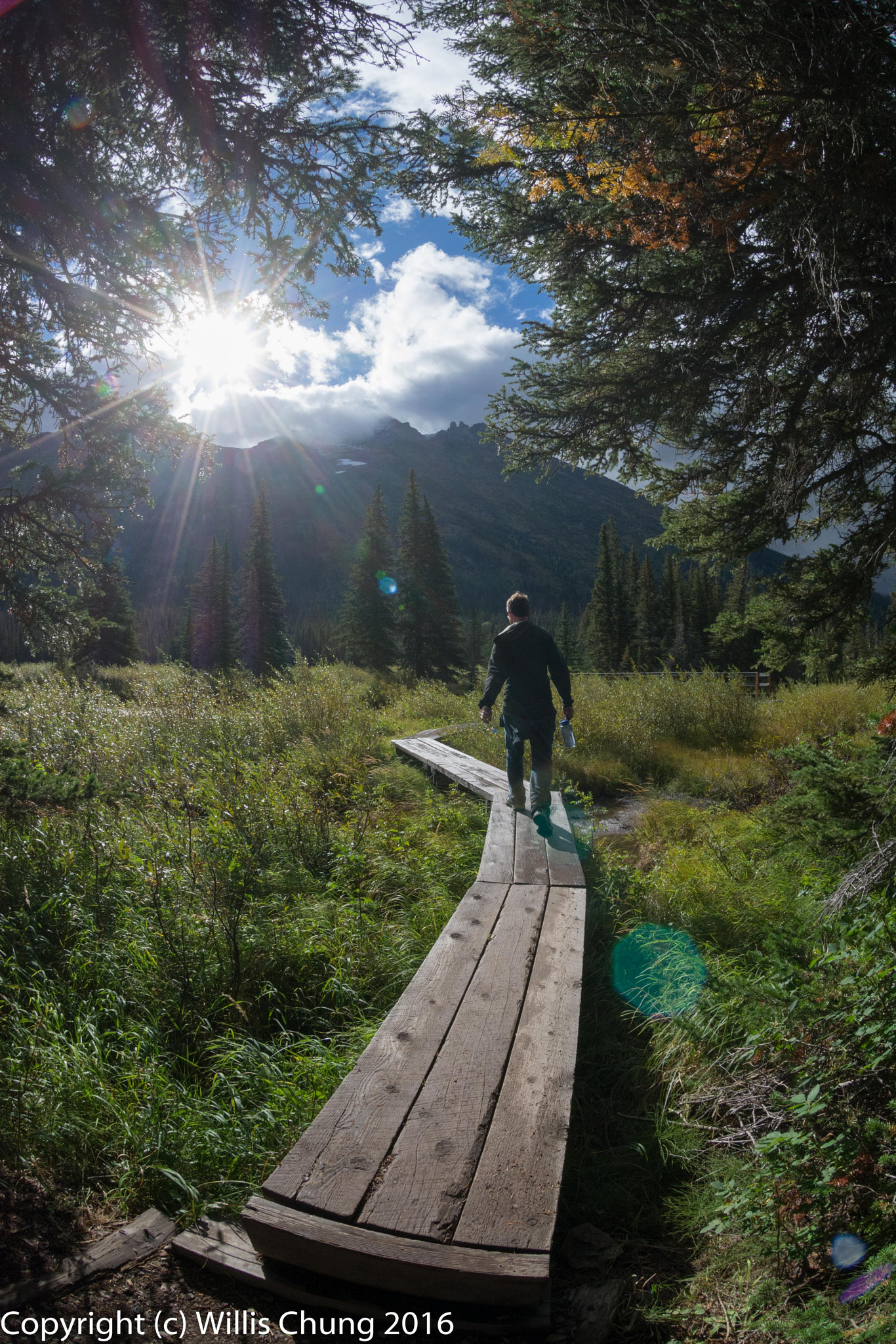 Nikon AF DX Fisheye-Nikkor 10.5mm F2.8G ED sample photo. Hiker walking towards cataract creek bridge photography