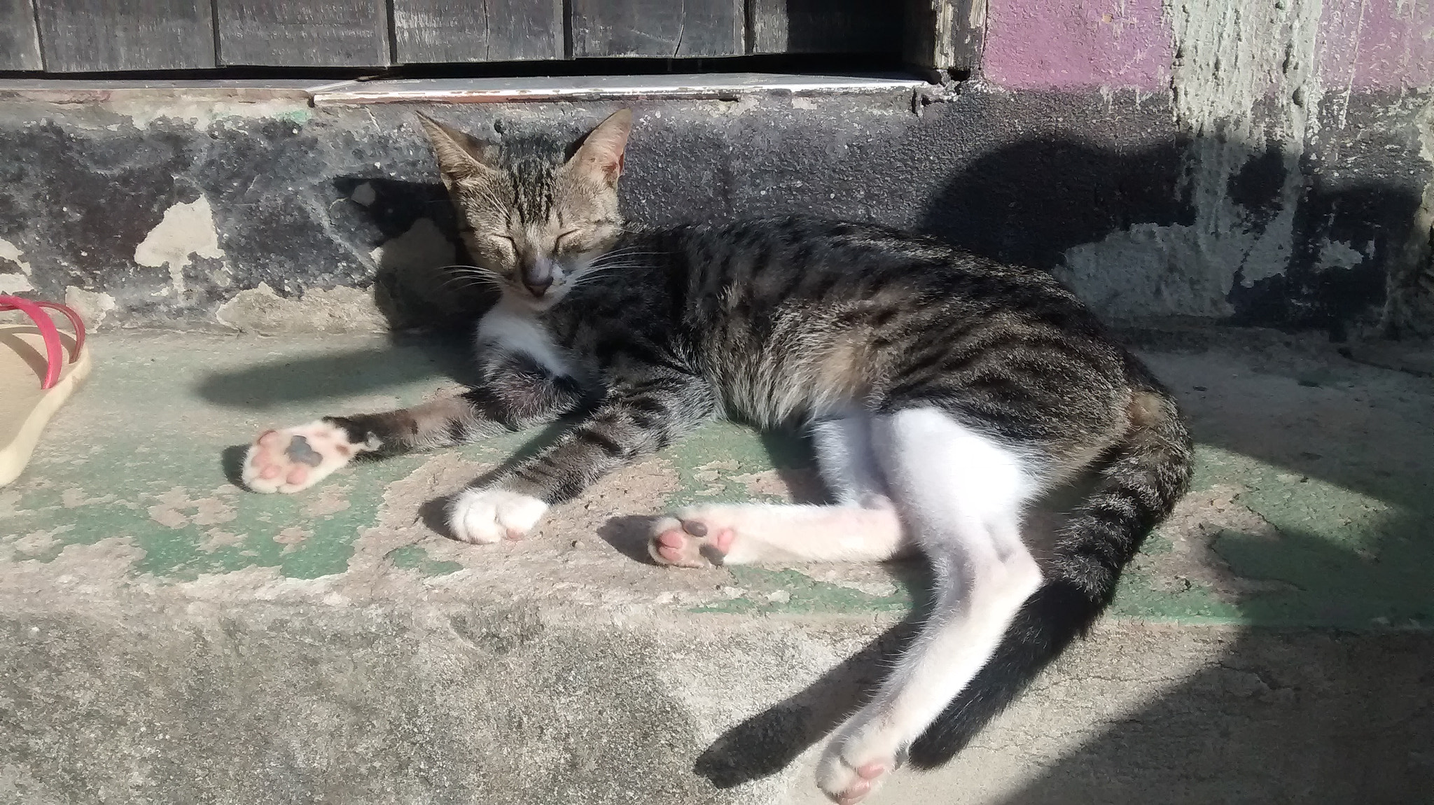 Motorola Moto E (1st Gen) sample photo