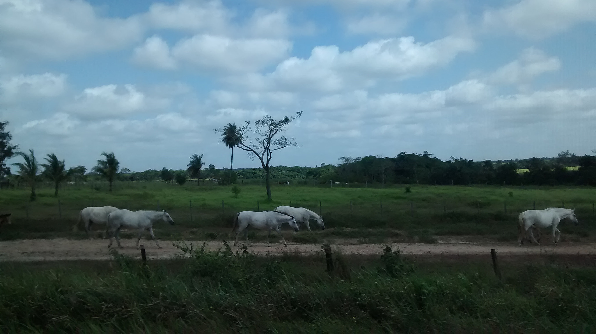 Motorola Moto E (1st Gen) sample photo