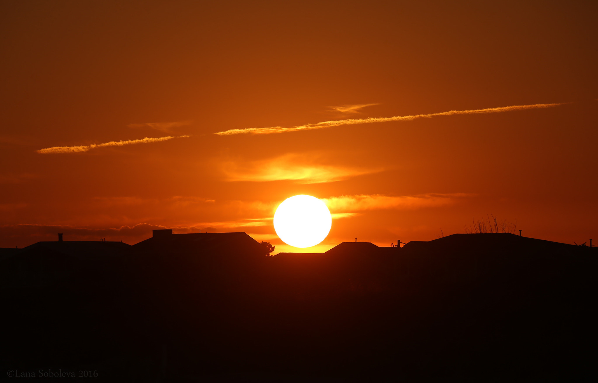 Sigma 150-600mm F5-6.3 DG OS HSM | C sample photo. Good night :) photography