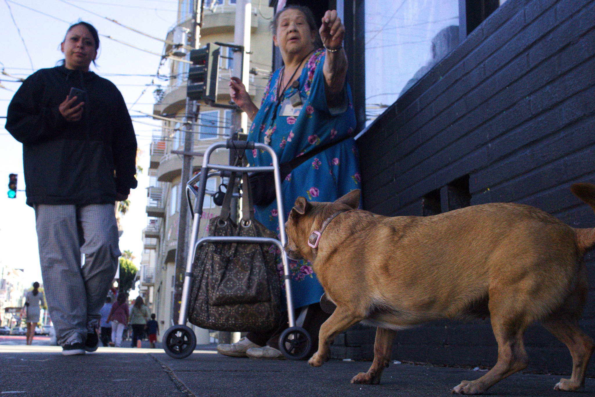 Sony a6000 + Sony Sonnar T* E 24mm F1.8 ZA sample photo. _dsc8396 photography