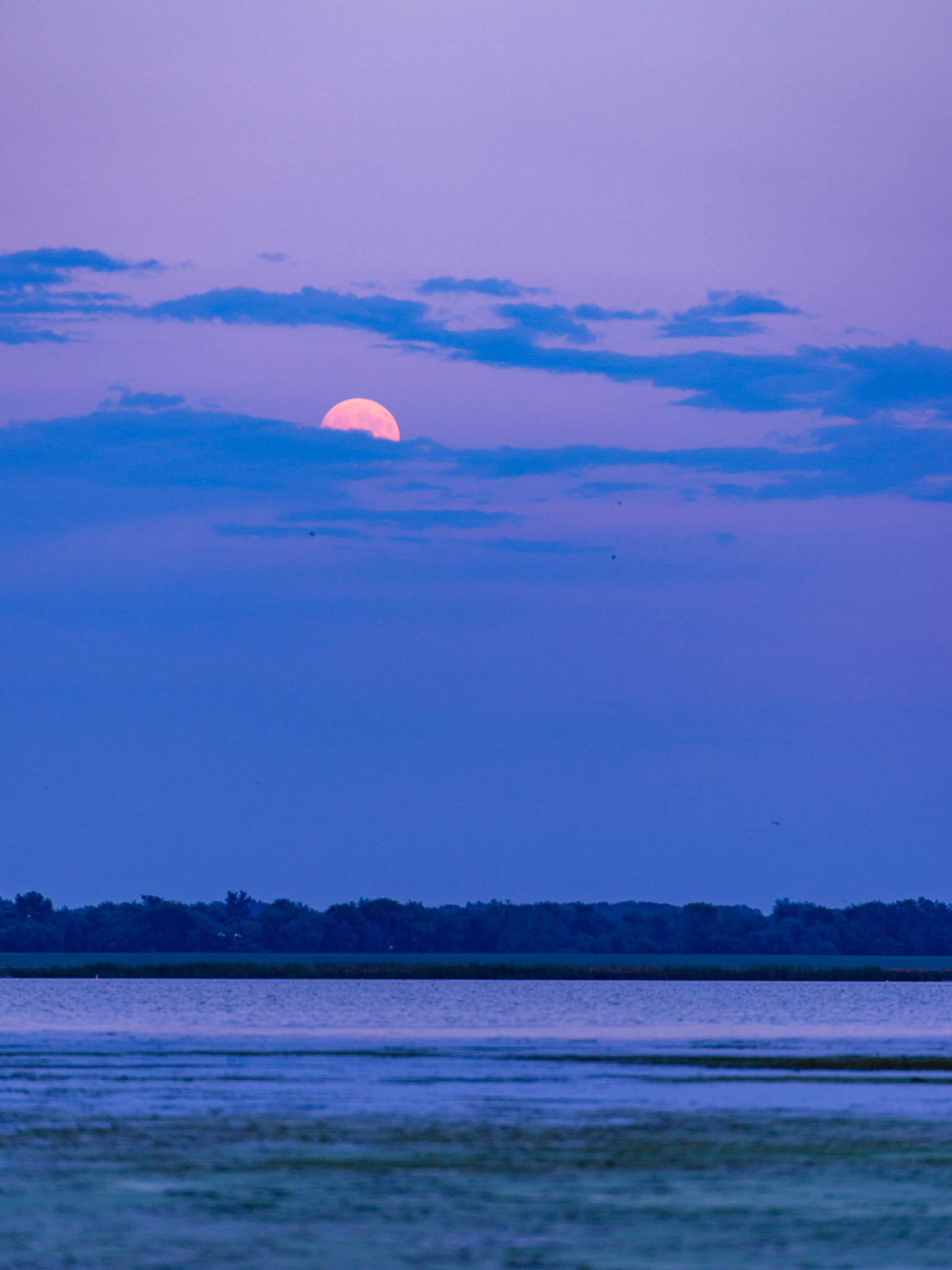 Nikon Df sample photo. The moon photography