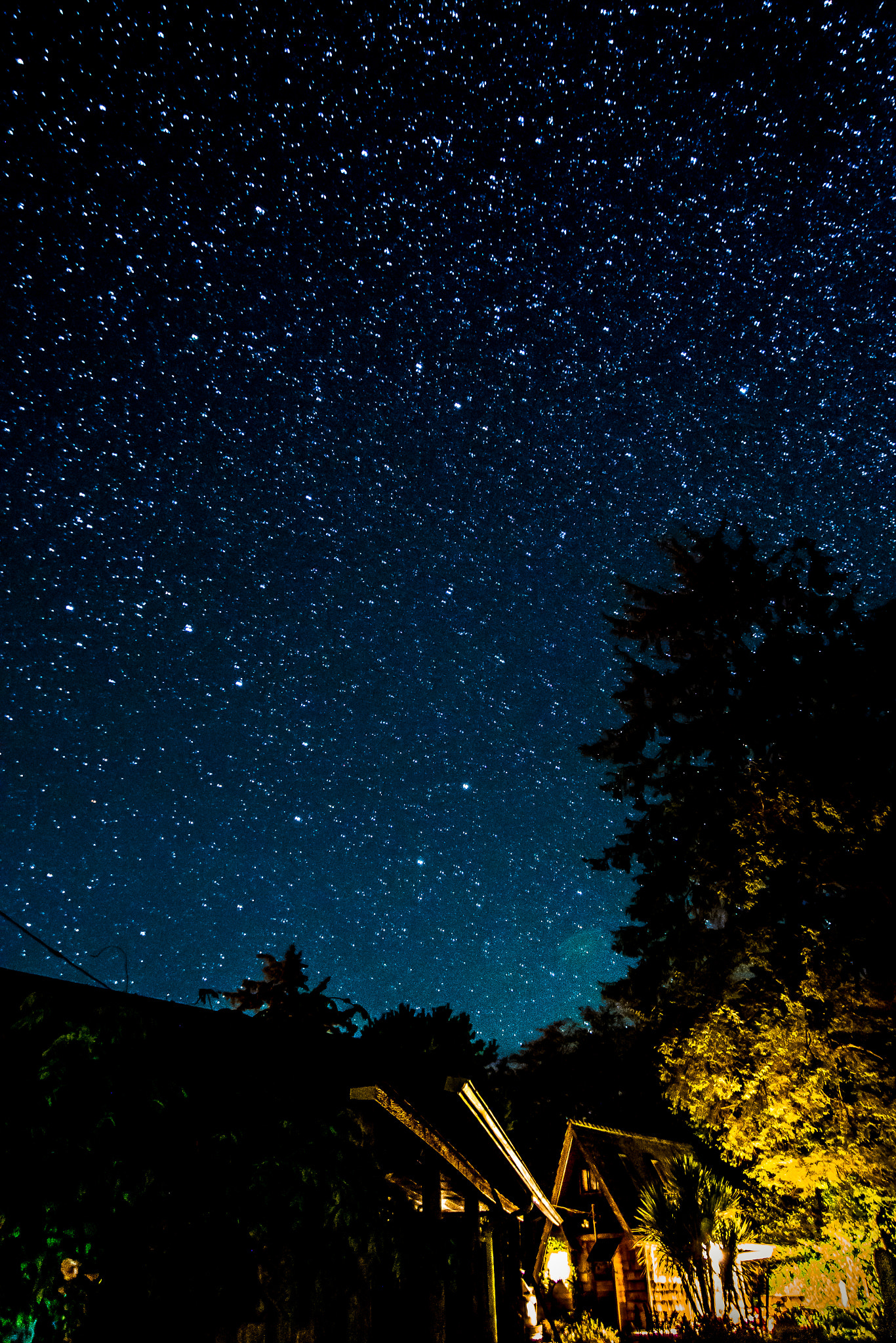 11-16mm F2.8 G sample photo. Hatful of diamonds photography