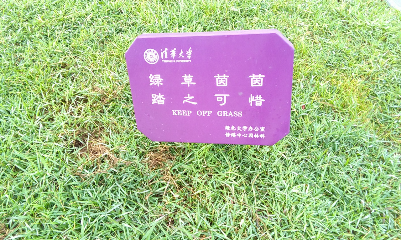 HUAWEI Honor 4A sample photo. Green photography