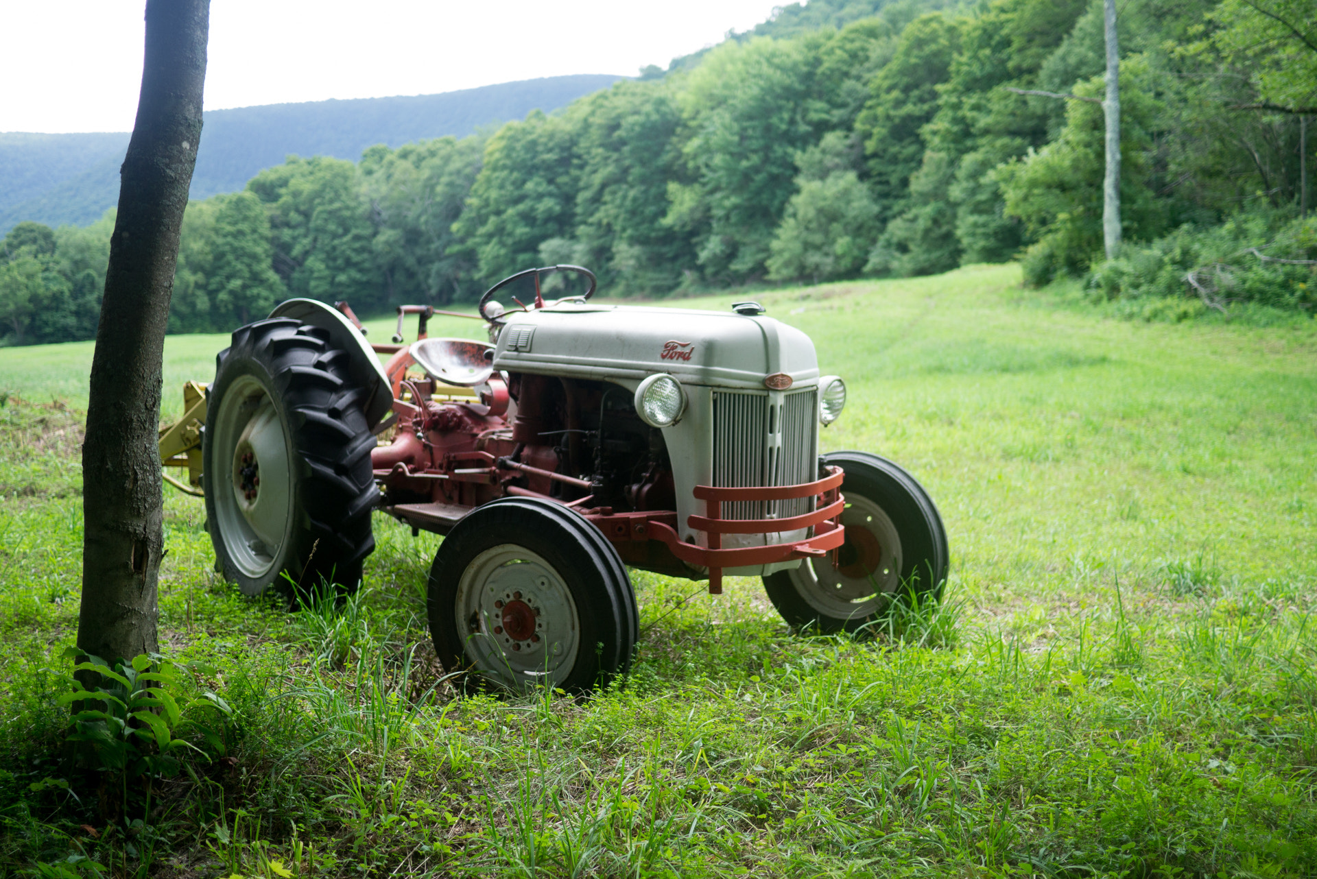 Panasonic Lumix DMC-GX1 sample photo. Western massachusetts photography