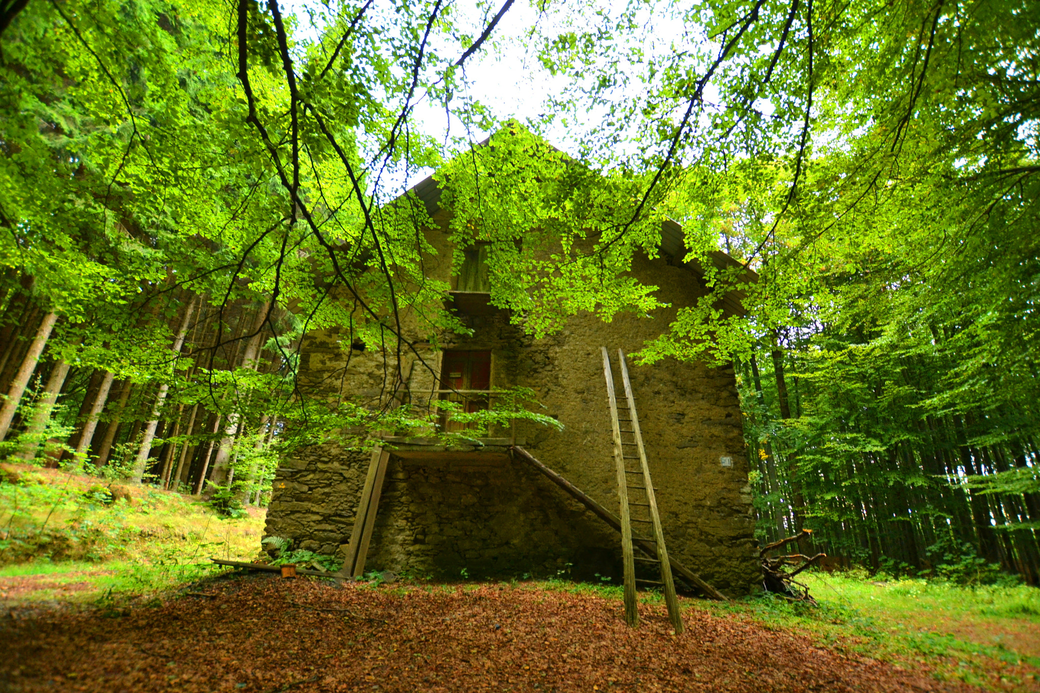 Nikon D3100 + Sigma 10-20mm F3.5 EX DC HSM sample photo. The house in the wood photography