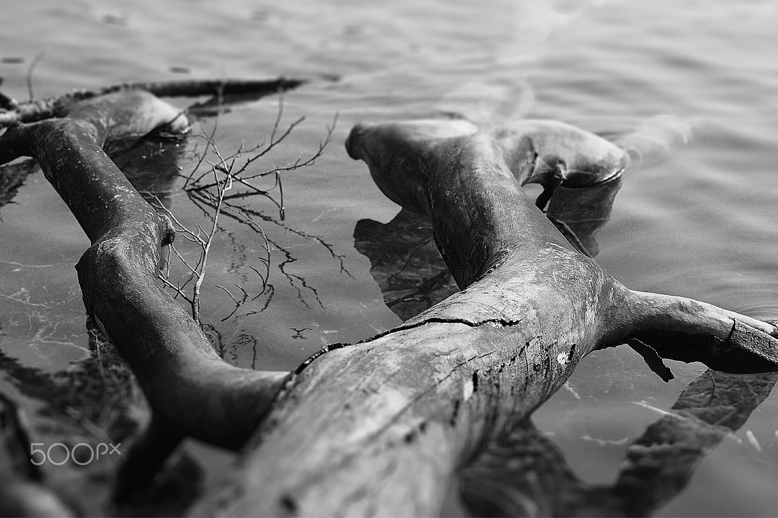 24.0 - 70.0 mm sample photo. Acqua photography