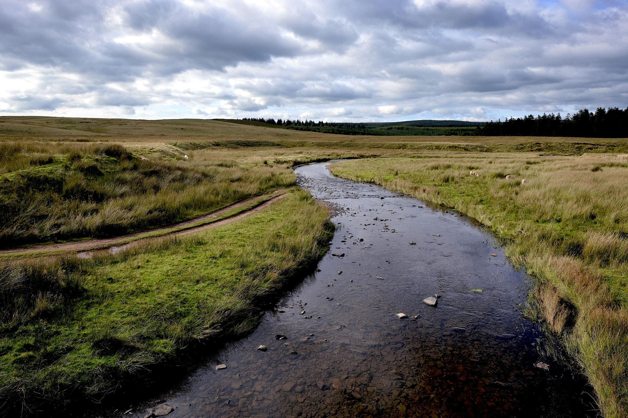 Fujifilm X-T10 + Fujifilm XF 14mm F2.8 R sample photo. The river photography