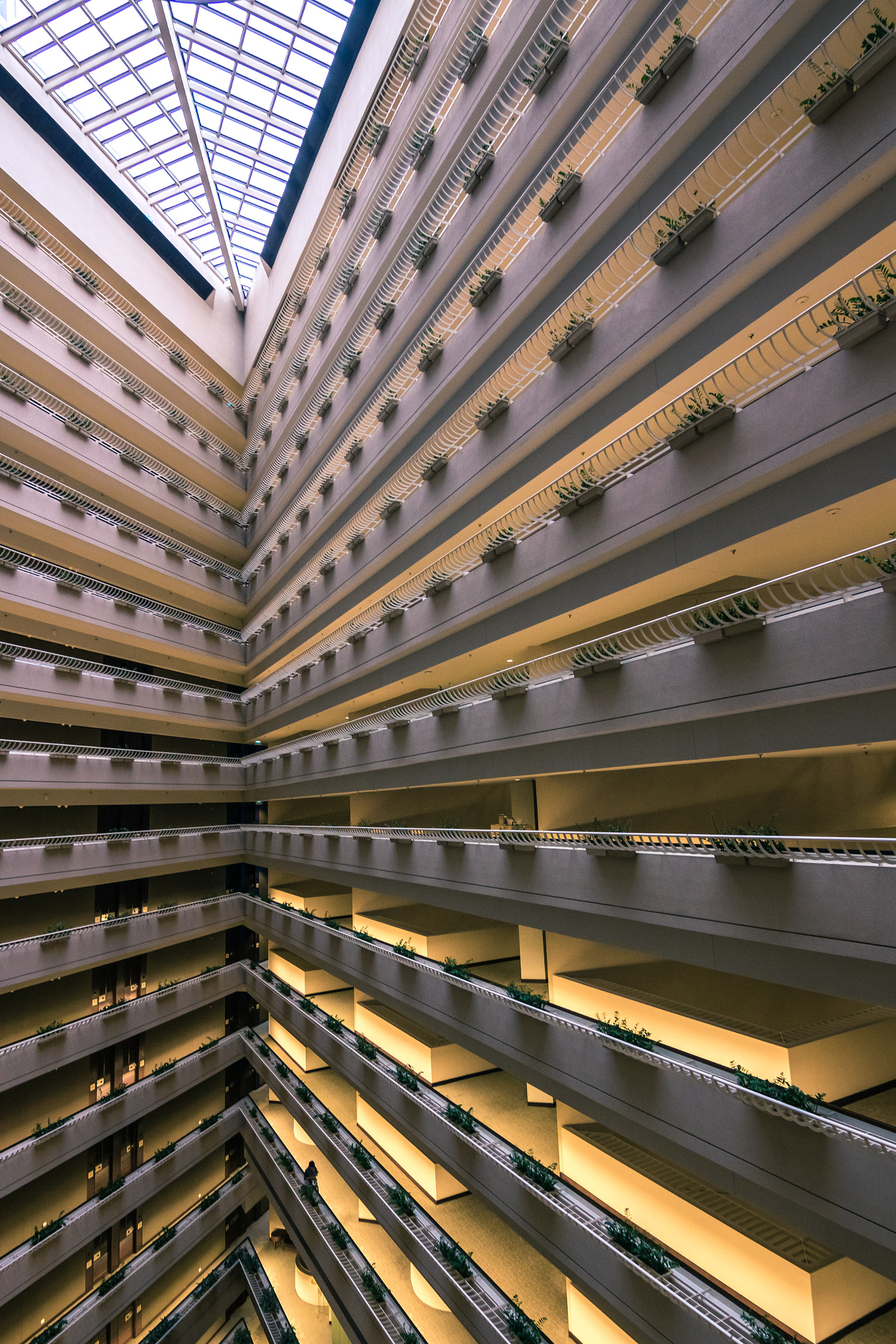 Canon EOS 760D (EOS Rebel T6s / EOS 8000D) sample photo. Pan pacific - epic lines photography