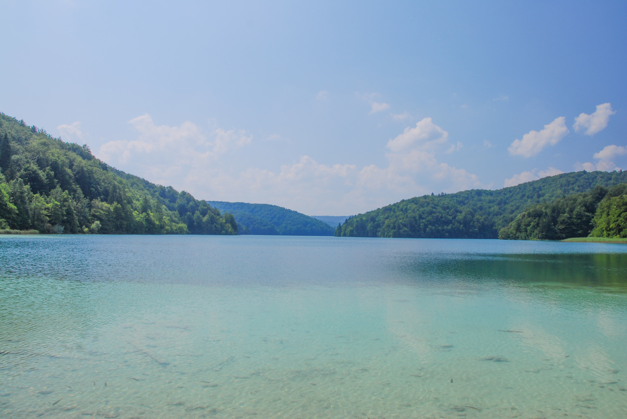 Nikon D40X sample photo. The clear lake photography