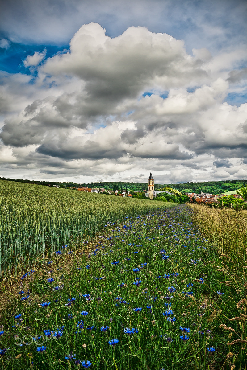Sigma 10-20mm F3.5 EX DC HSM sample photo. Summer village photography