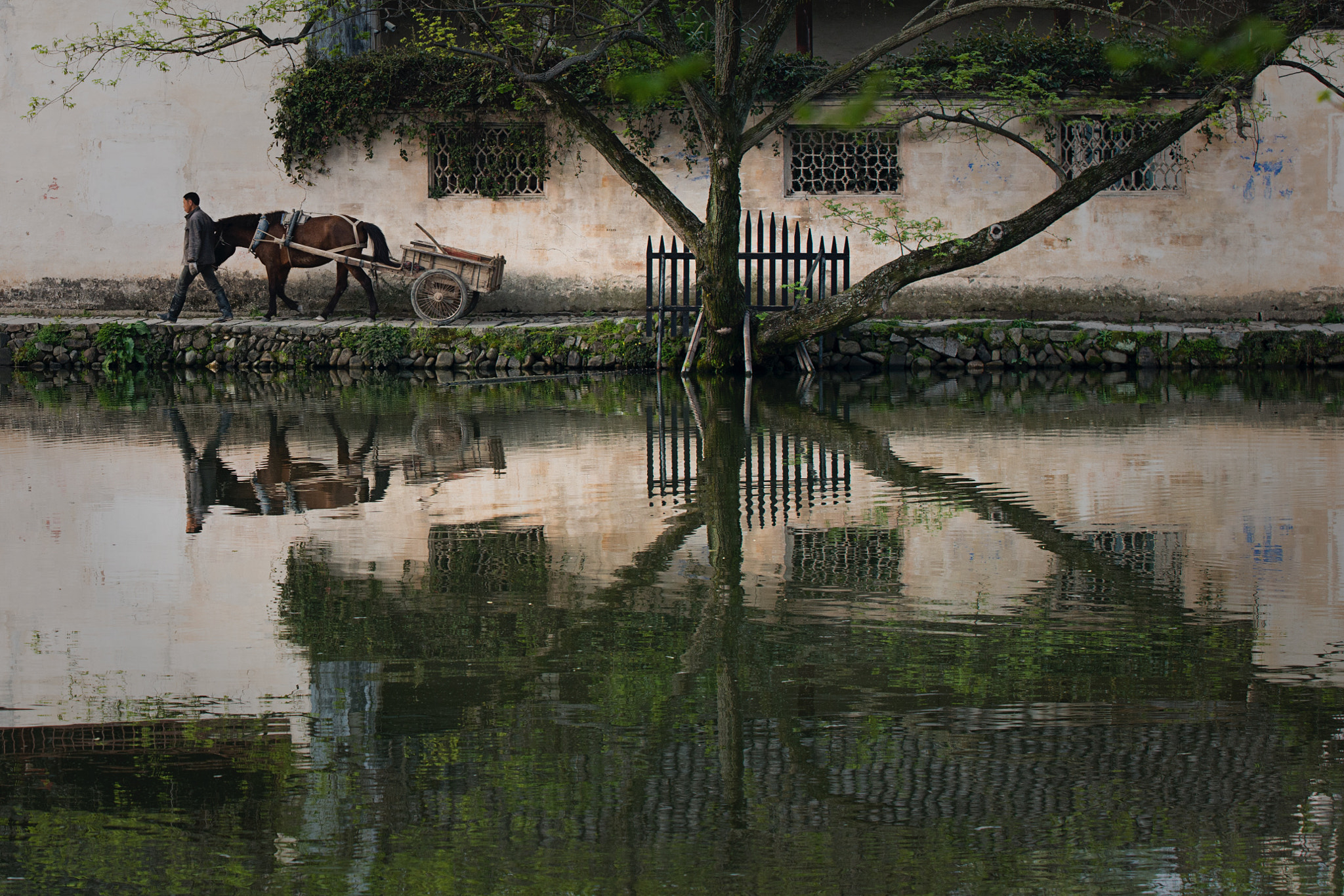 Nikon D800 + AF-S Zoom-Nikkor 80-200mm f/2.8D IF-ED sample photo. Water reflections photography