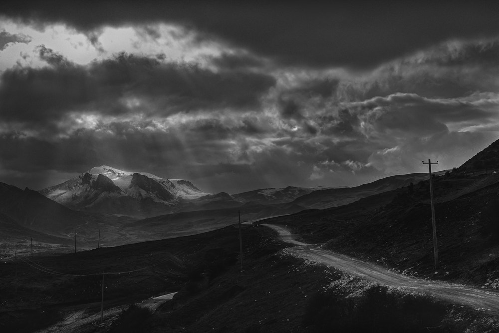Canon EOS-1D Mark III sample photo. Bw photography