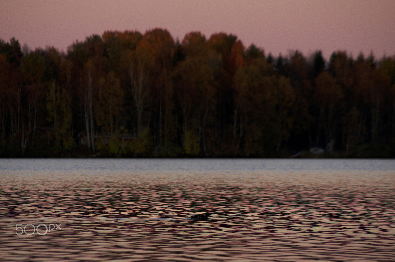 smc PENTAX-DA L 55-300mm F4-5.8 ED sample photo. Pyykosjarvi photography